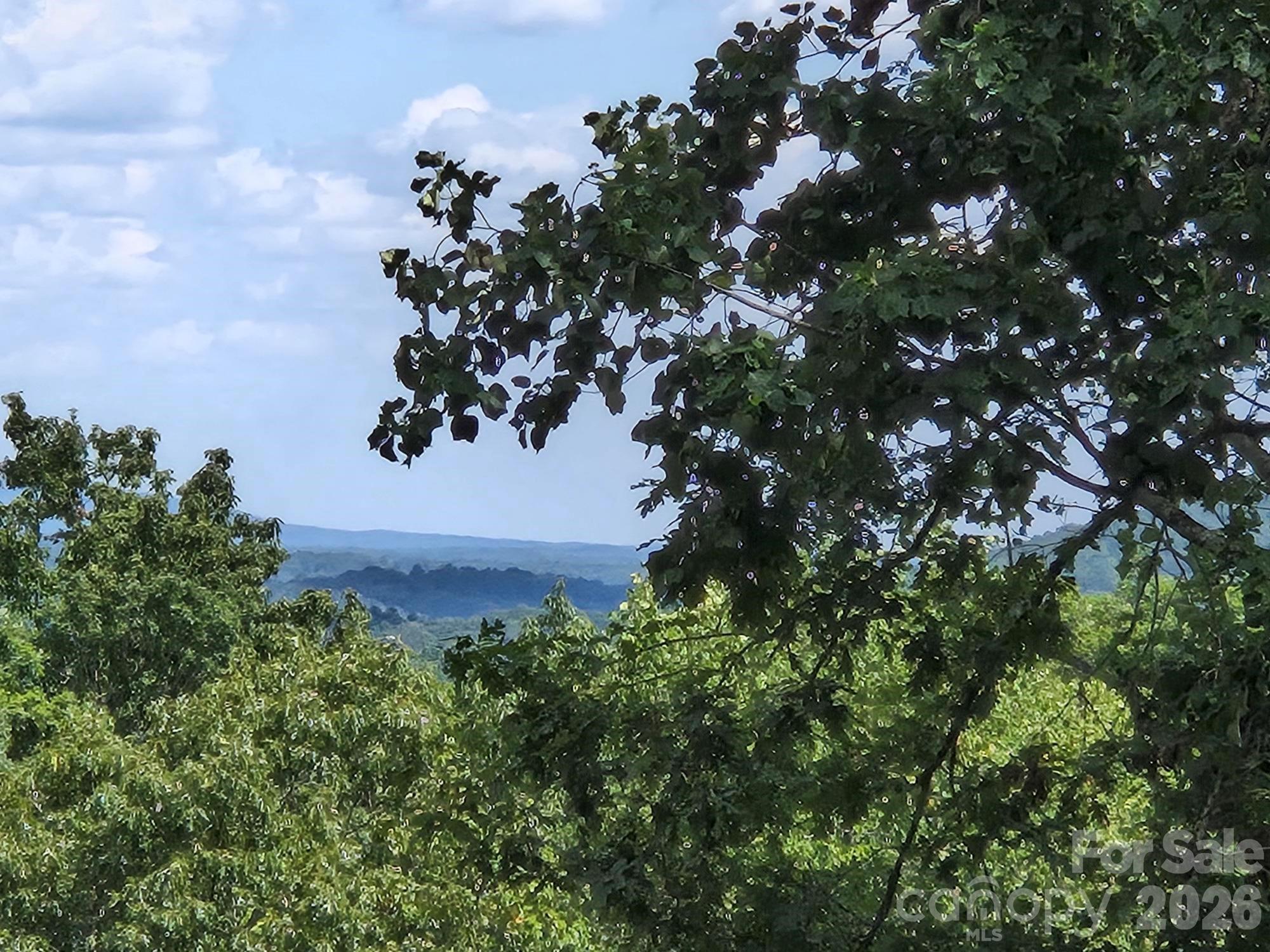 Lot 34 Hawks Nest Trail