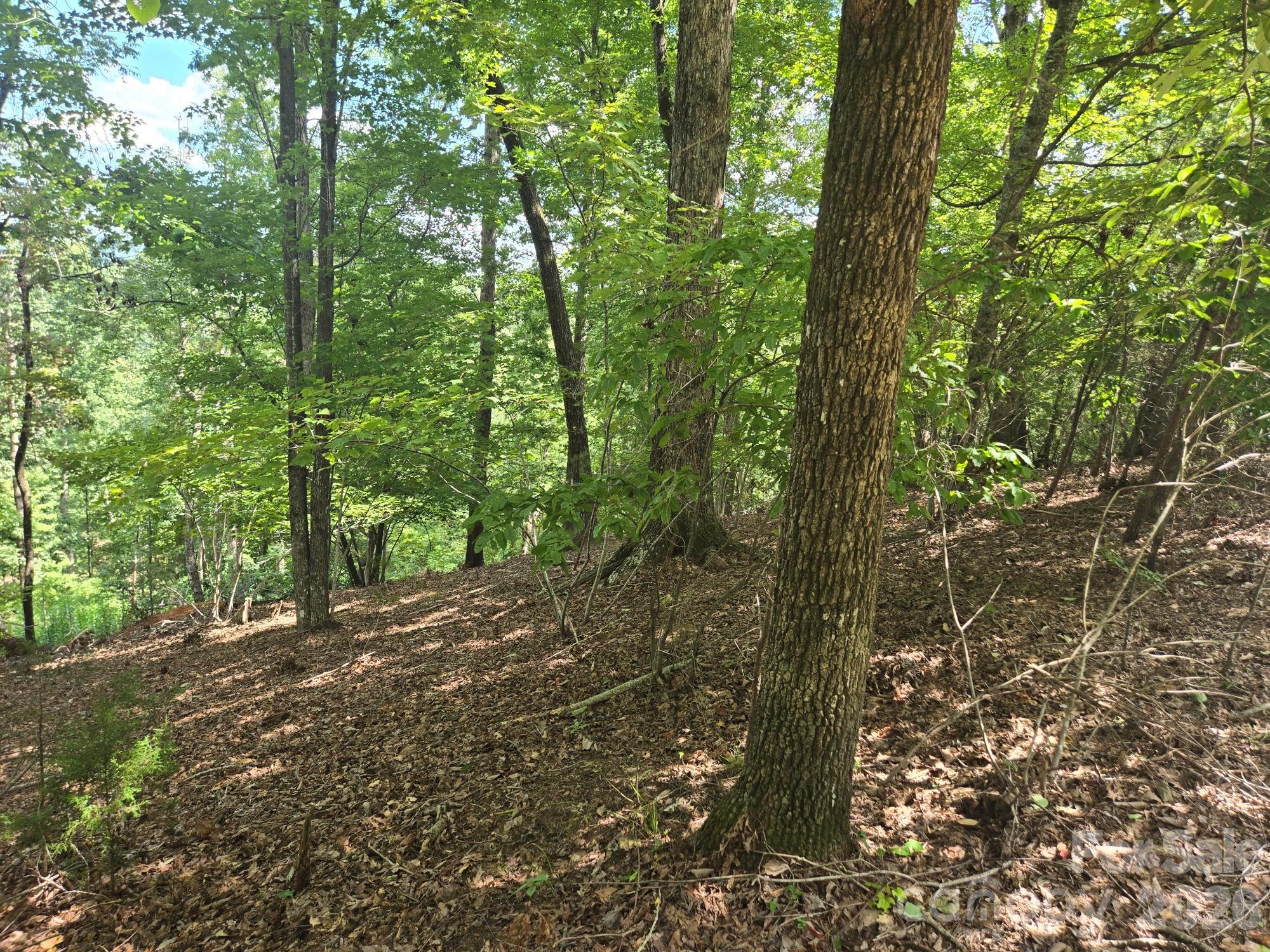 Lot at Lot 34 Hawks Nest Trail, Lake Lure, photo 4 of 21