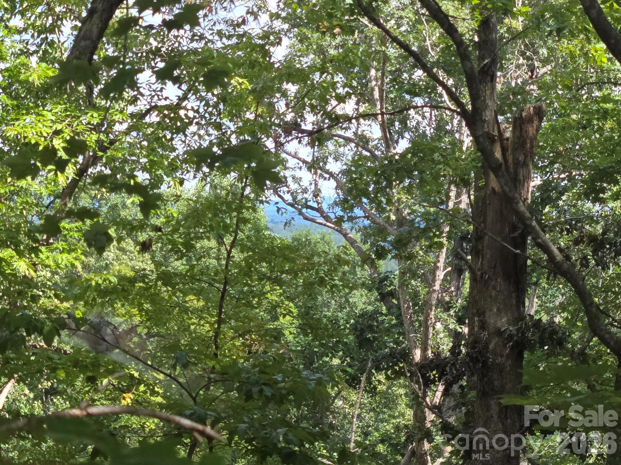 Lot at Lot 34 Hawks Nest Trail, Lake Lure, photo 5 of 21