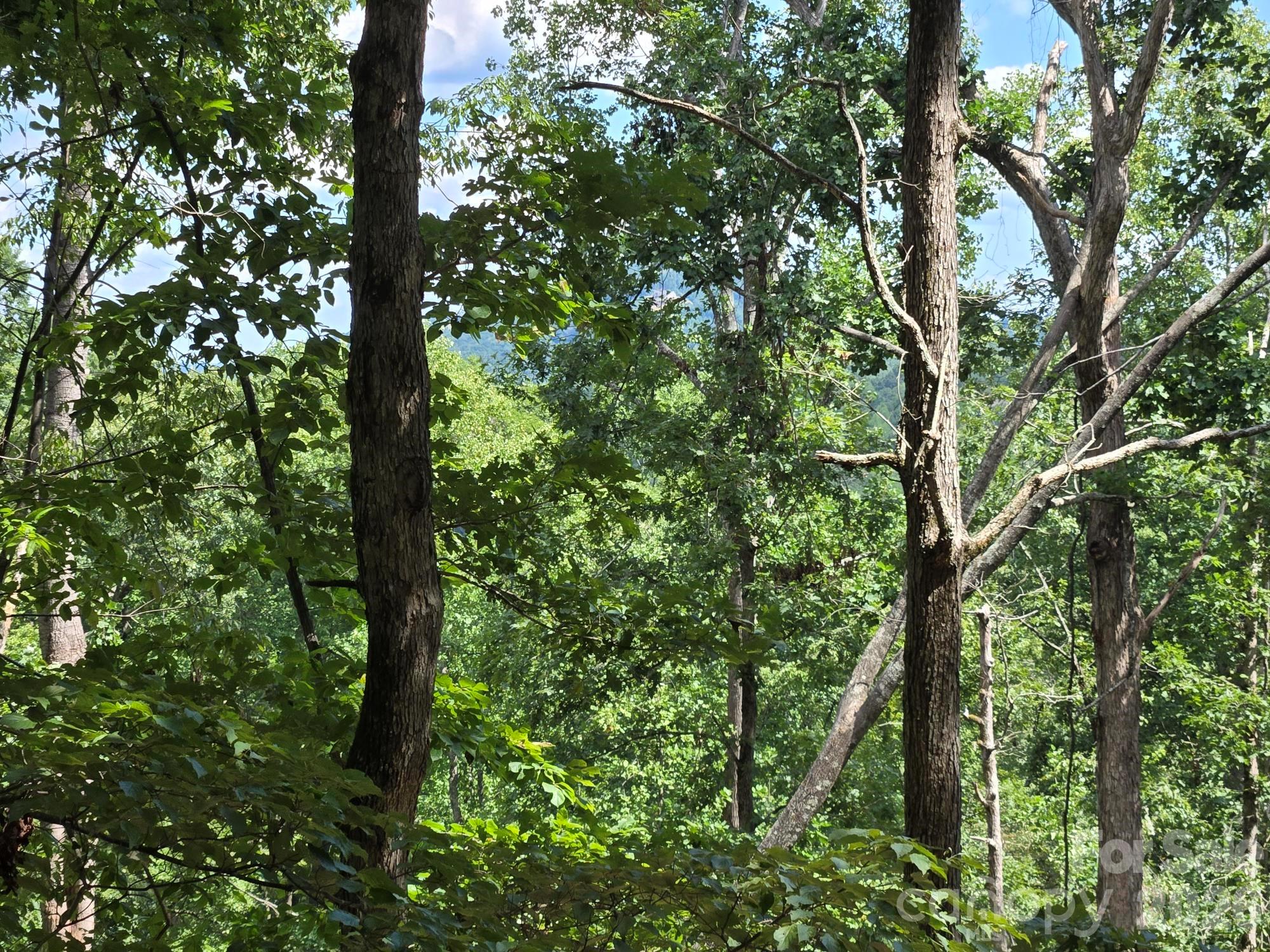 Lot at Lot 34 Hawks Nest Trail, Lake Lure, photo 6 of 21