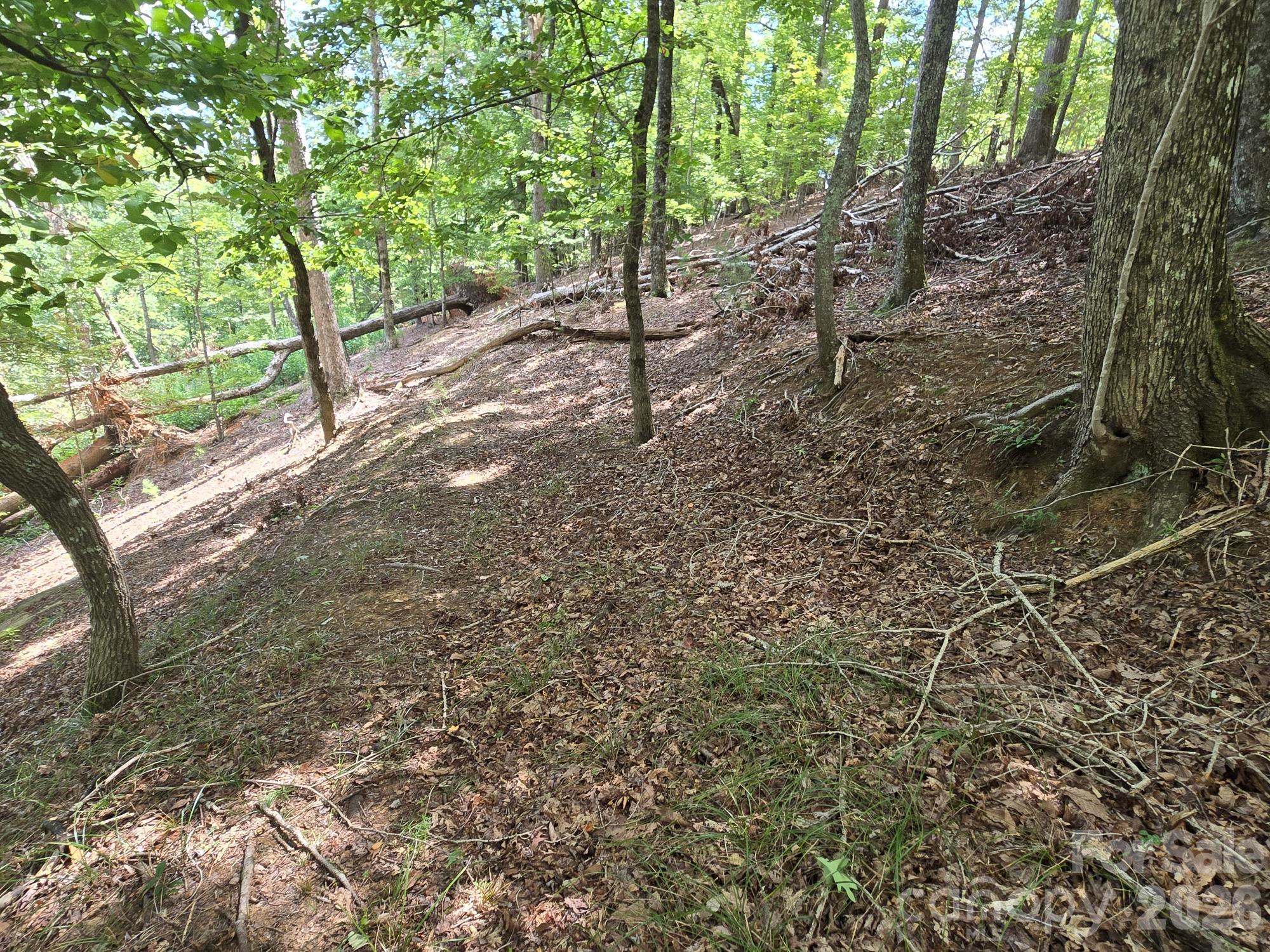 Lot at Lot 34 Hawks Nest Trail, Lake Lure, photo 8 of 21