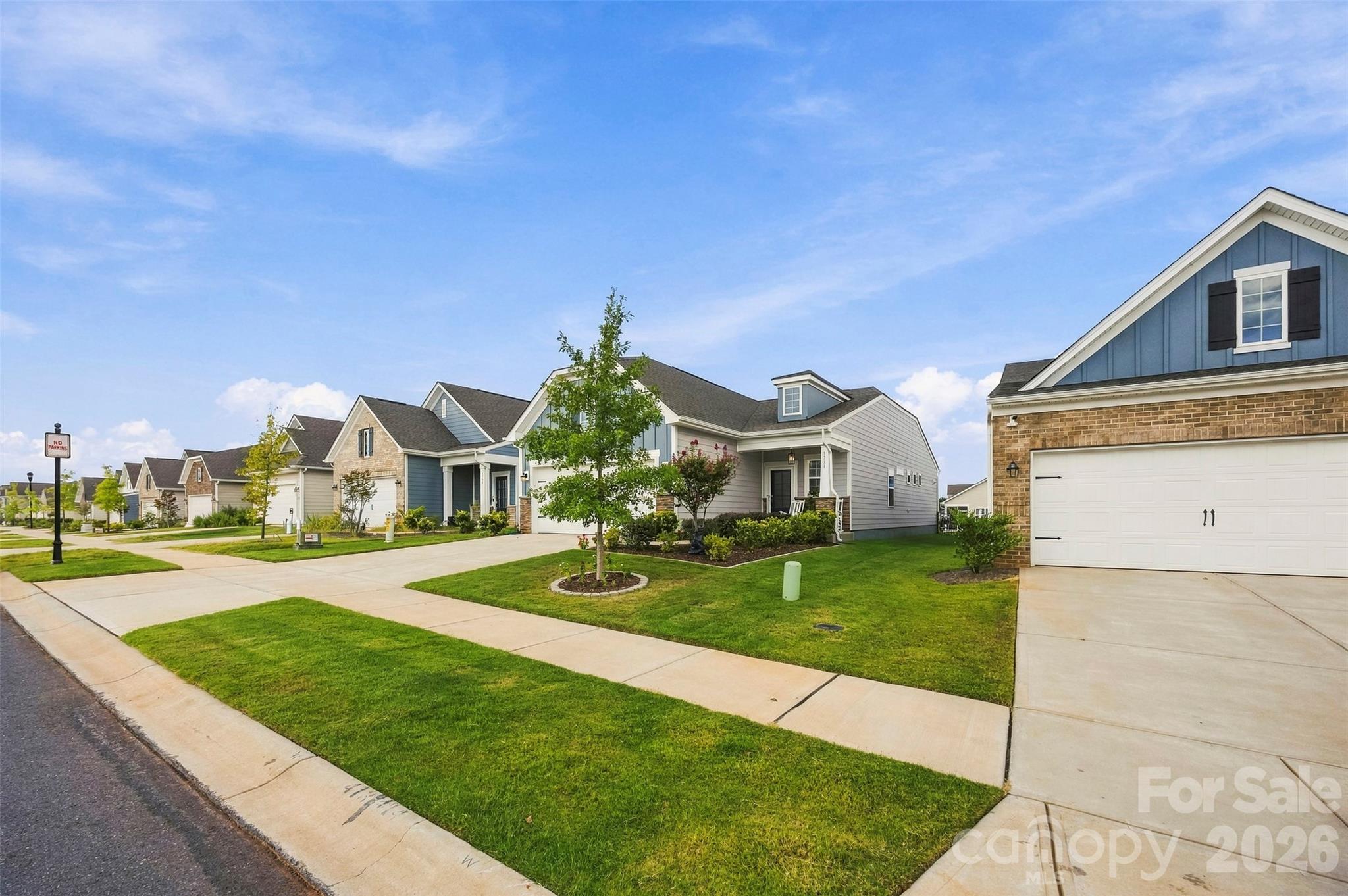 Flawless Landscaping. - 1734 Otter Perch Lane, Fort Mill