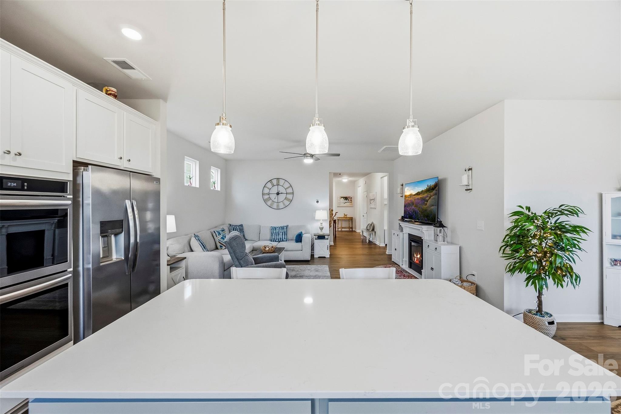 White Quartz Island - 1734 Otter Perch Lane, Fort Mill