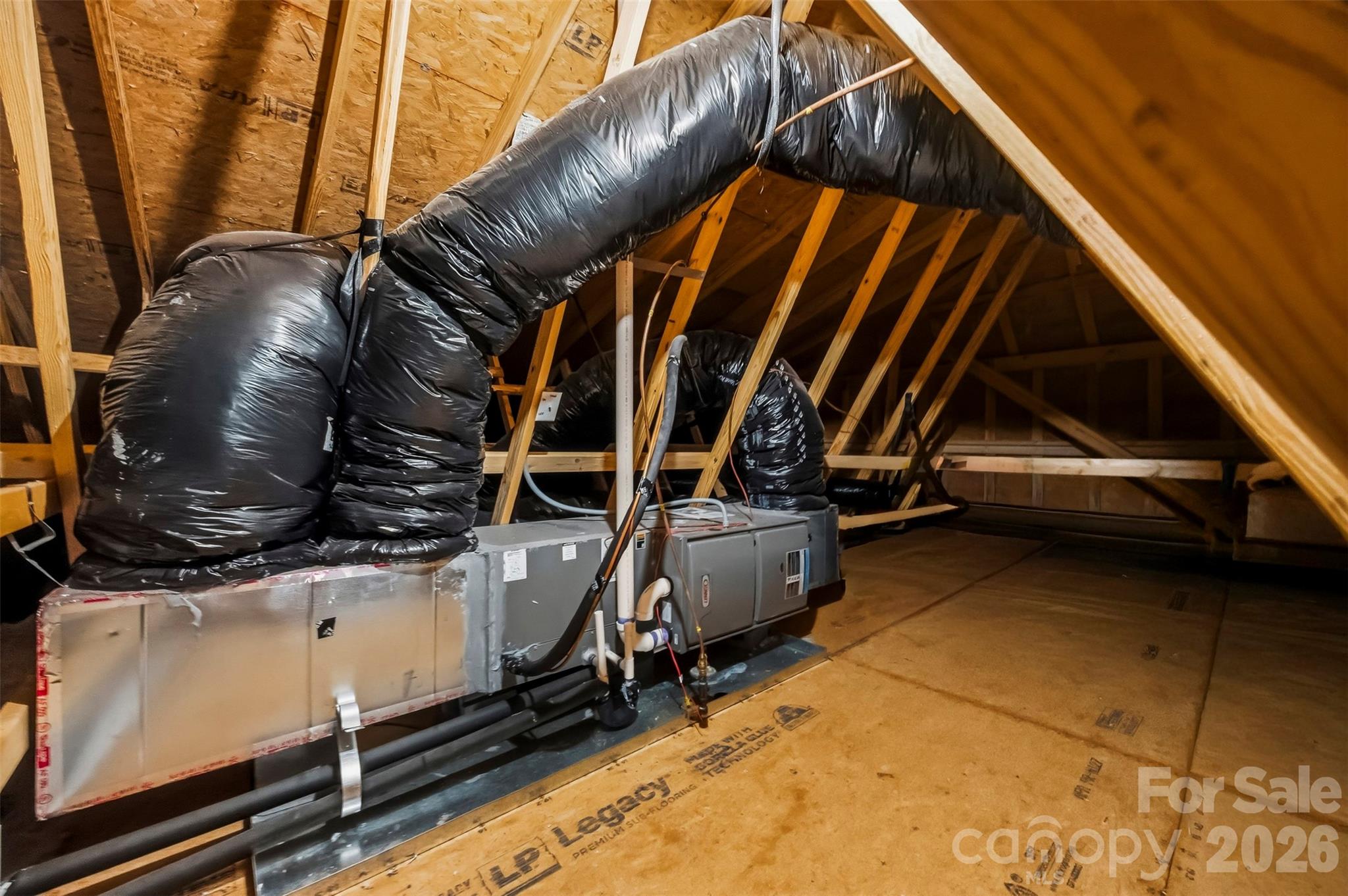 HUGE storage access via pull down stairs in garage. Clean, never used. - 1734 Otter Perch Lane, Fort Mill
