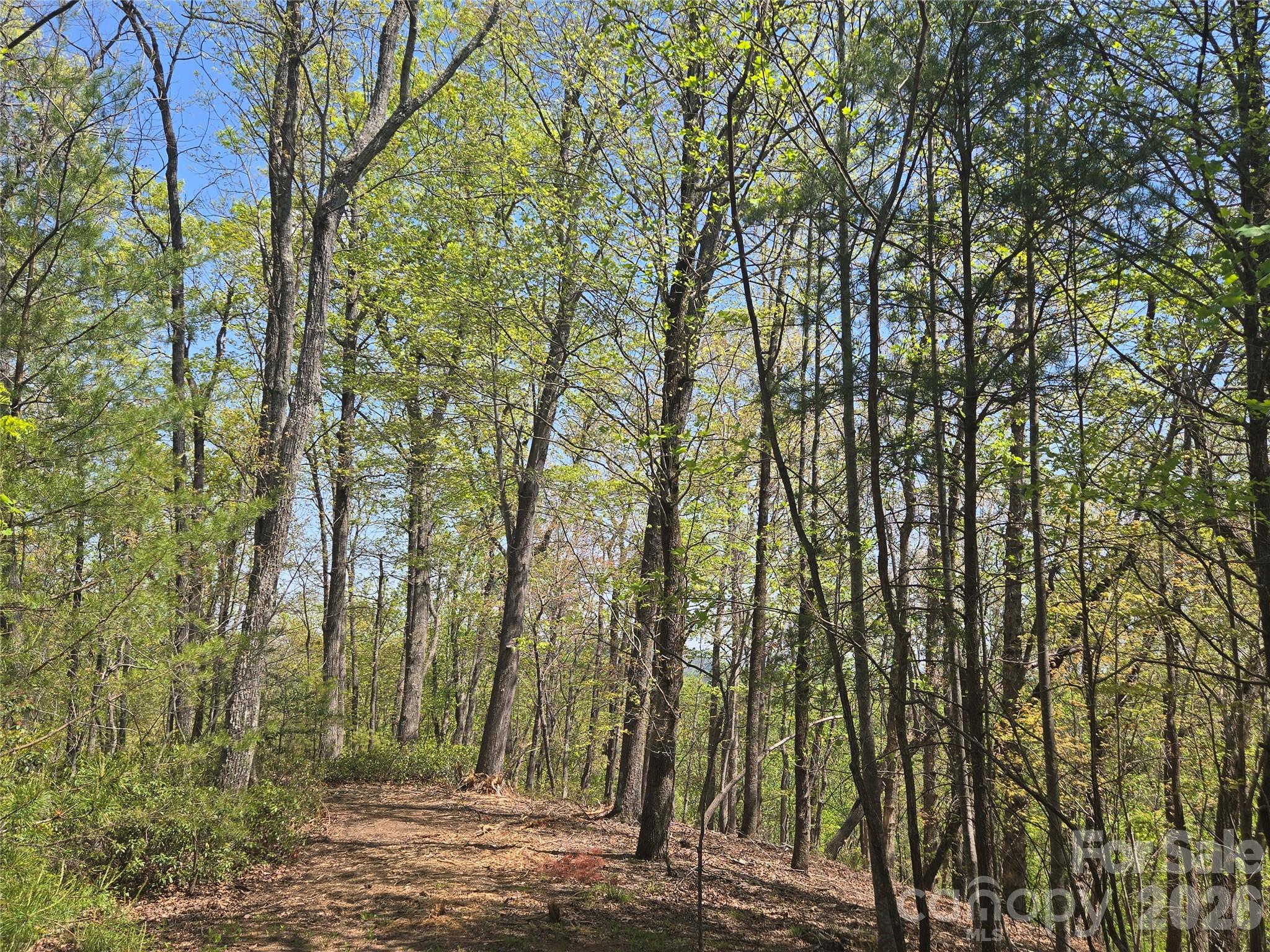 Lot at Lot 36 Turkey Fall Lane, Lake Lure, photo 3 of 28