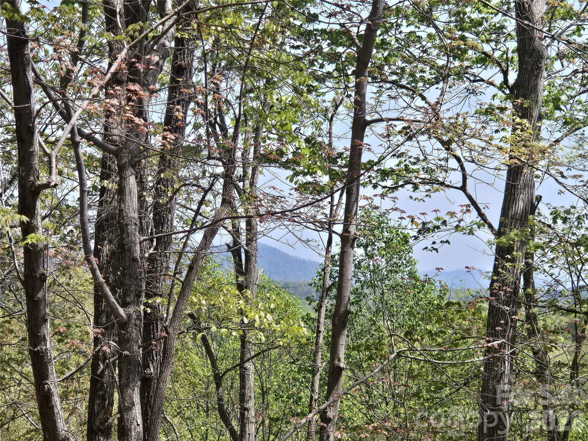 Lot at Lot 36 Turkey Fall Lane, Lake Lure, photo 4 of 28