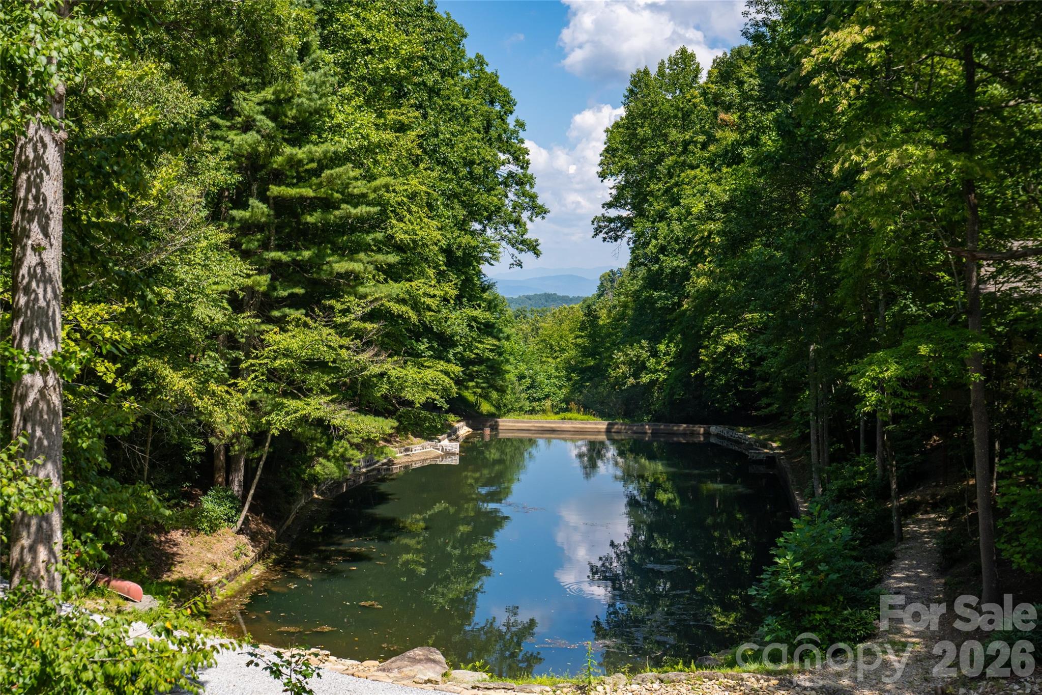 Pond and mountain views from porch - 3999 Laurel Park Highway, Hendersonville