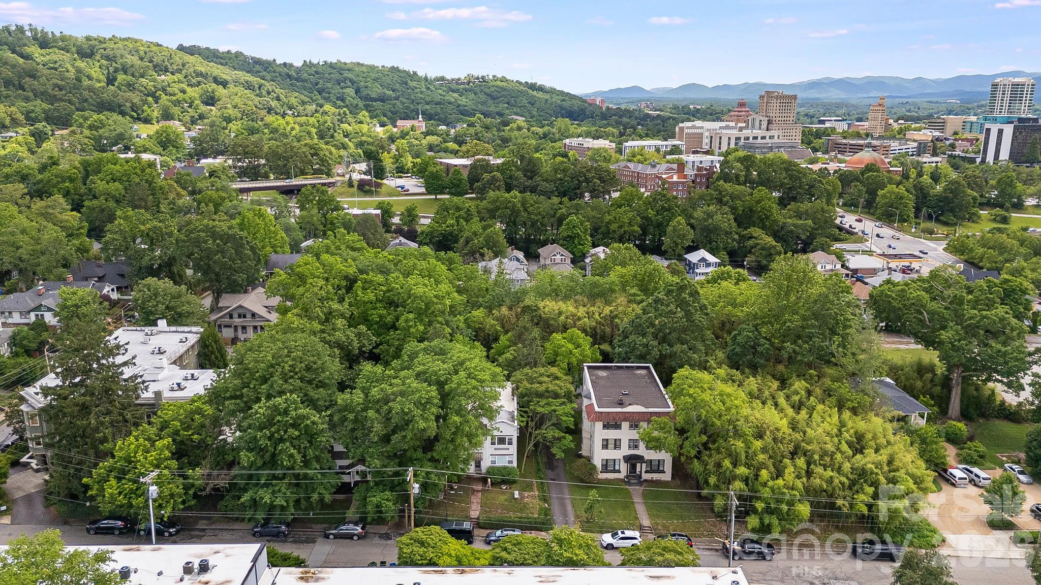 Apartment at 295 E Chestnut Street, Asheville, photo 4 of 20