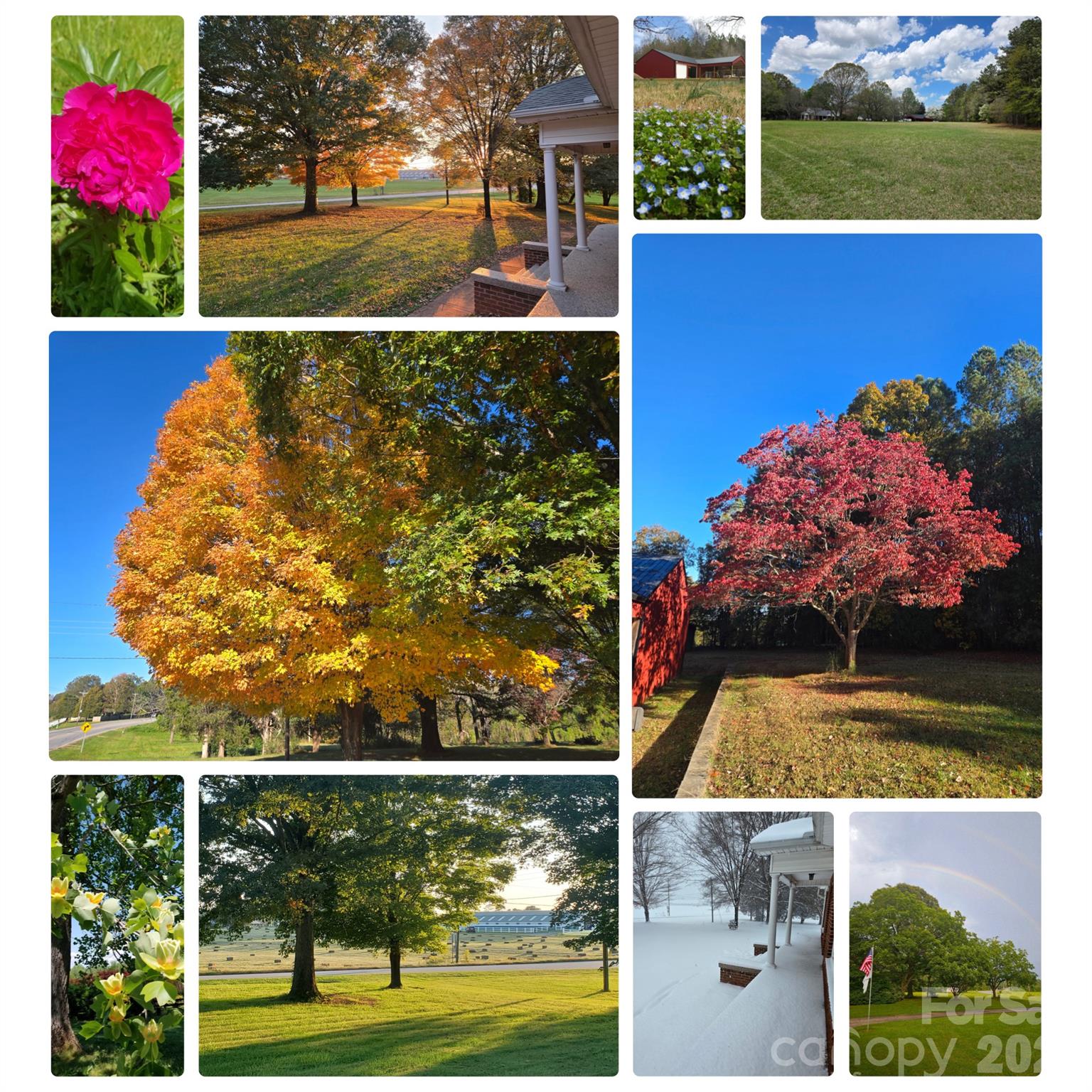 Seasonal Photos - 3336 Startown Road, Newton