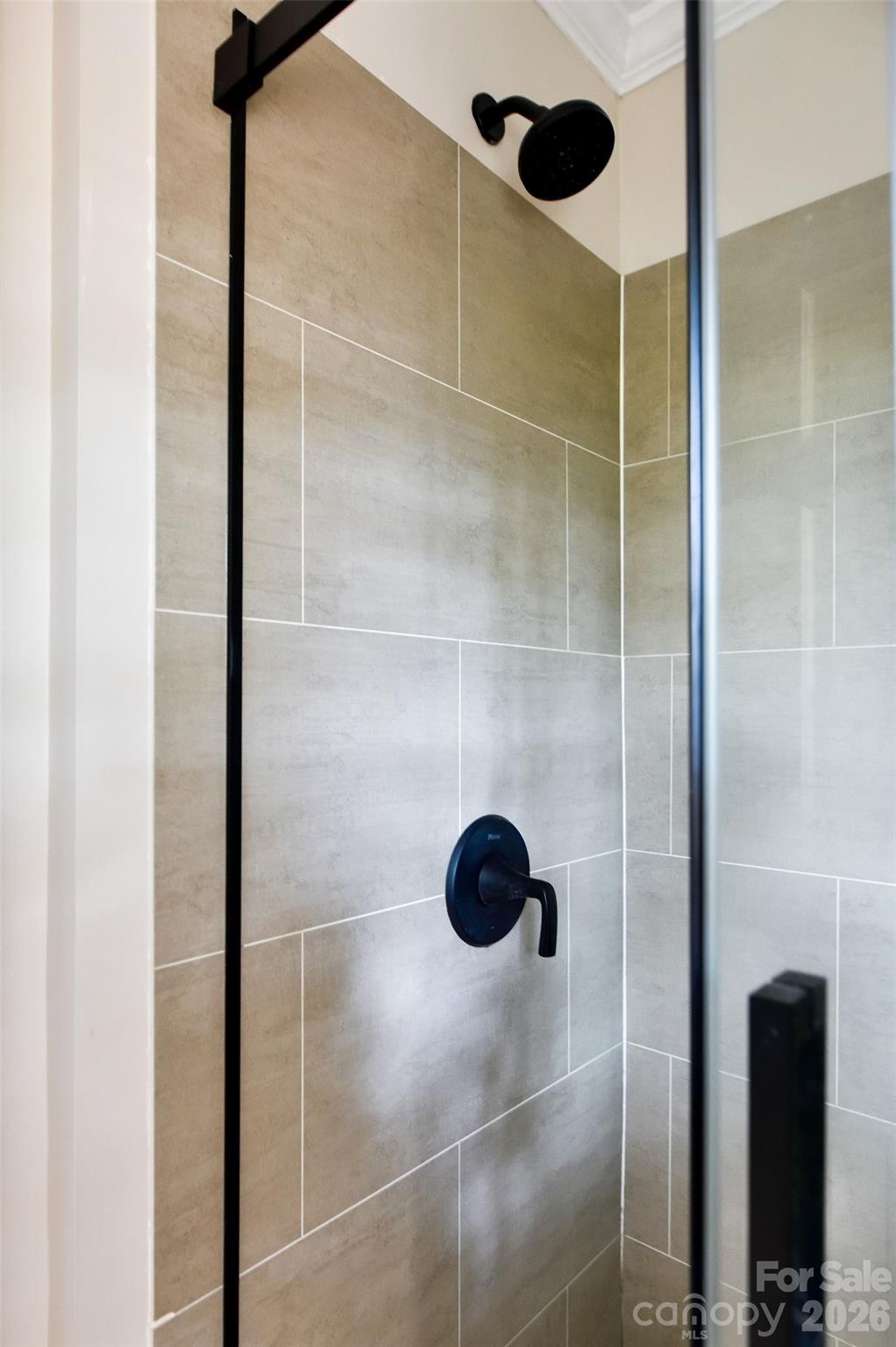 Remodeled step in shower - 3910 Fallston Road, Shelby