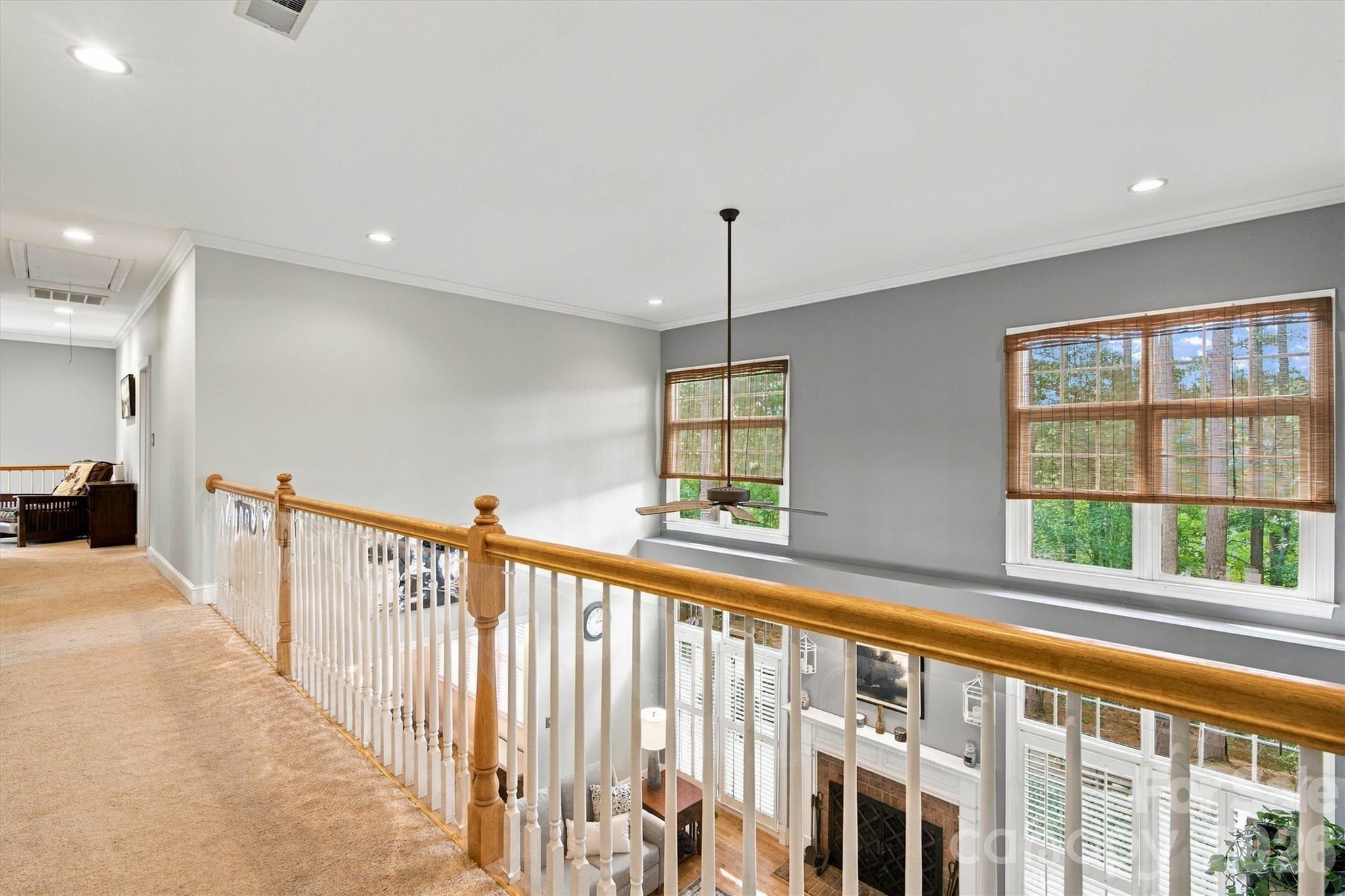 Catwalk - 1733 Verdict Ridge Drive, Denver