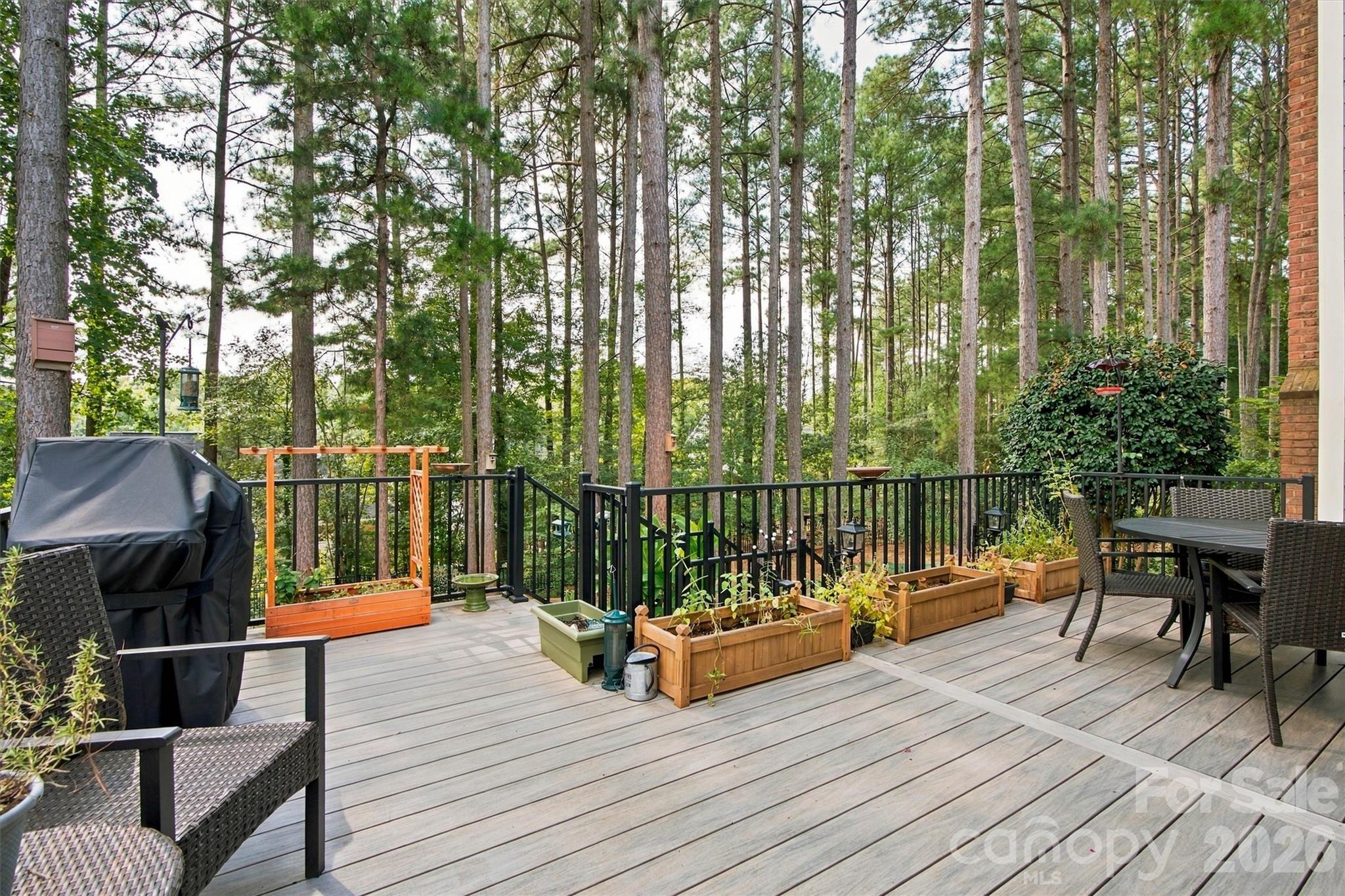 Back Deck - 1733 Verdict Ridge Drive, Denver