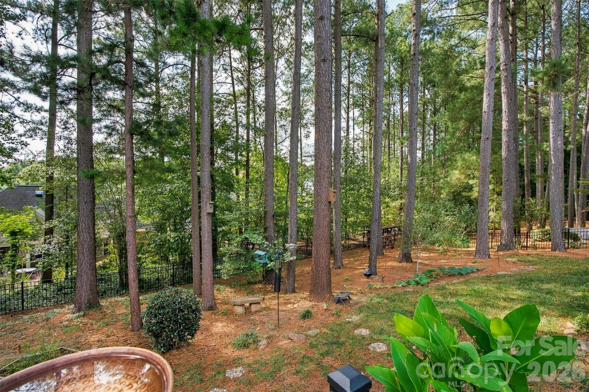 Private Yard - 1733 Verdict Ridge Drive, Denver