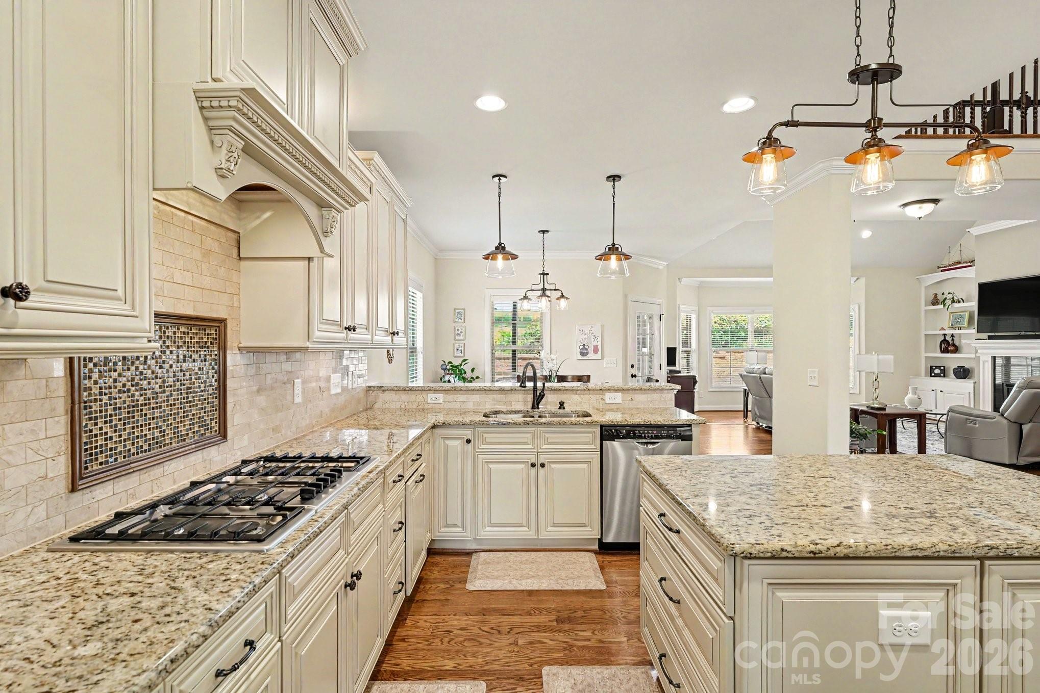 Single Family Residence at 489 Lotus Court, Lewisville, photo 9 of 37