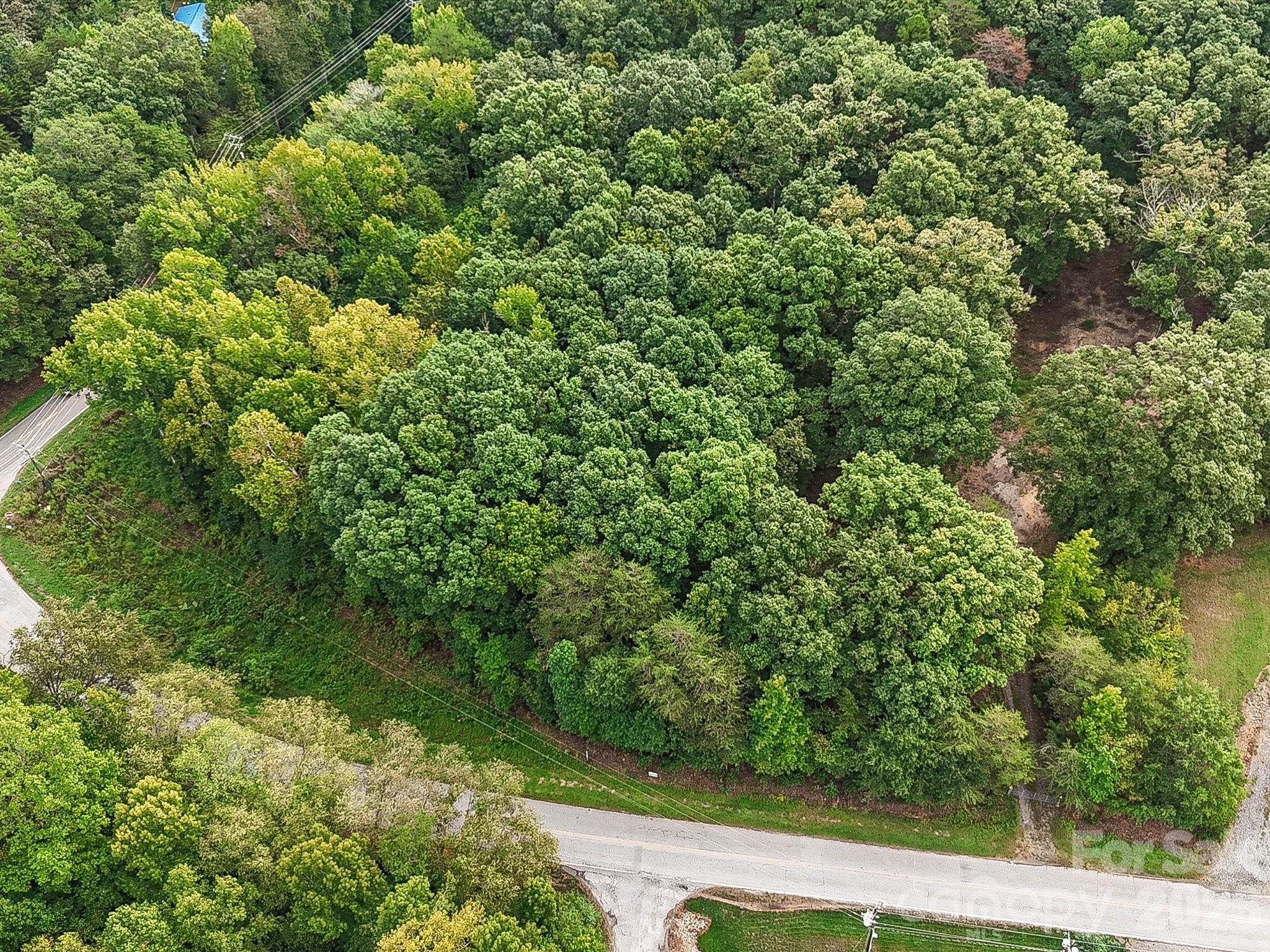 Unimproved Commercial at 0000 Industrial Park Road, Lincolnton, photo 2 of 9