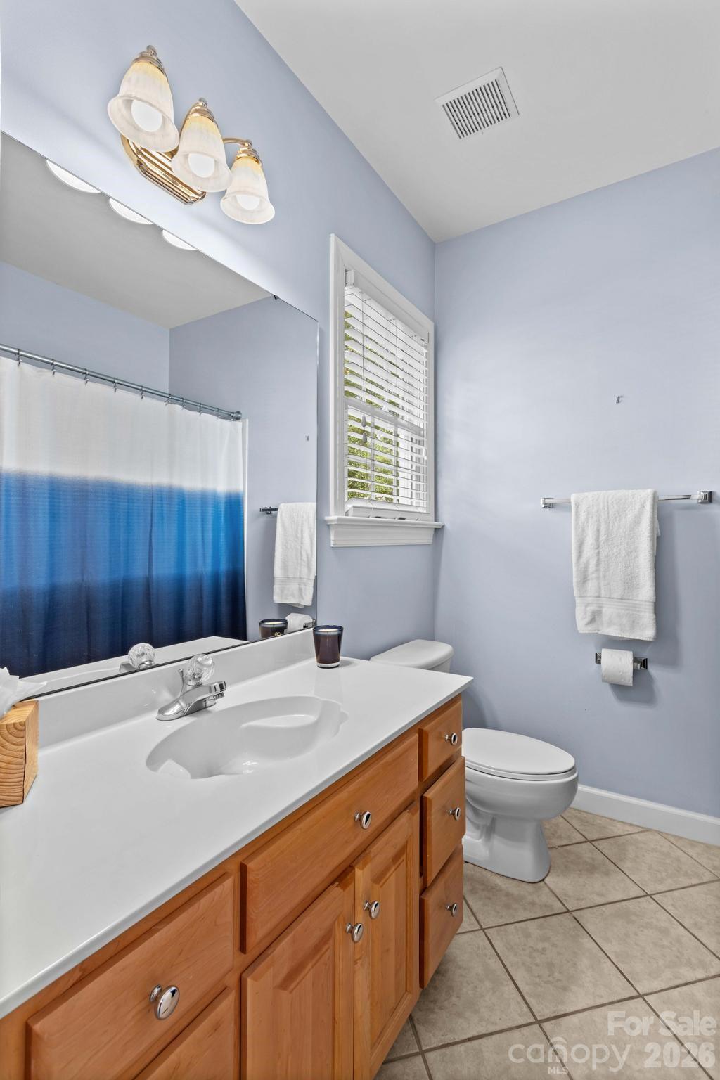 Ensuite bathroom to main level bedroom #5 - 12822 Cadgwith Cove Drive, Huntersville