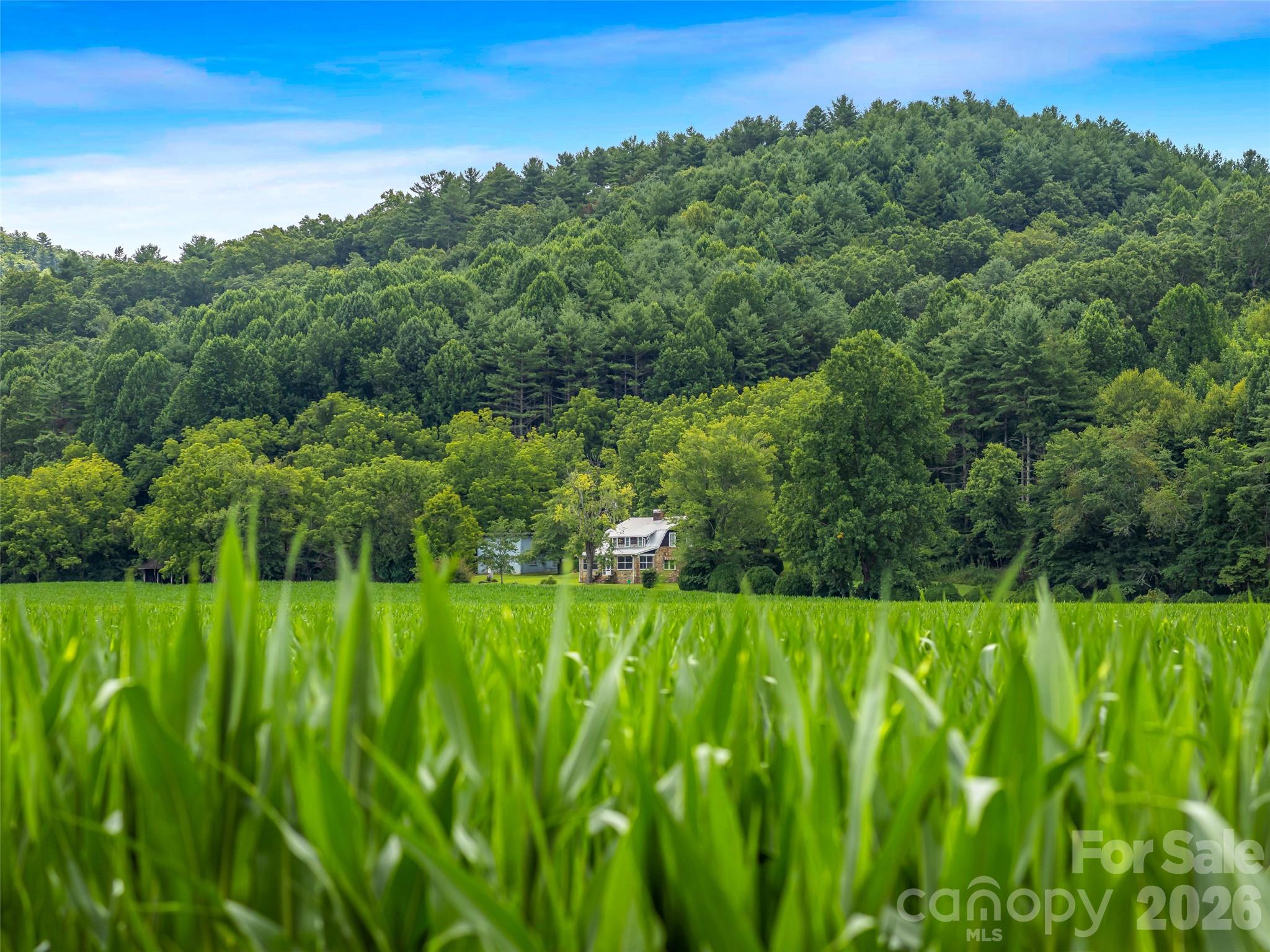 Acreage at 96 Merle Farm Lane, Pisgah Forest, photo 3 of 48