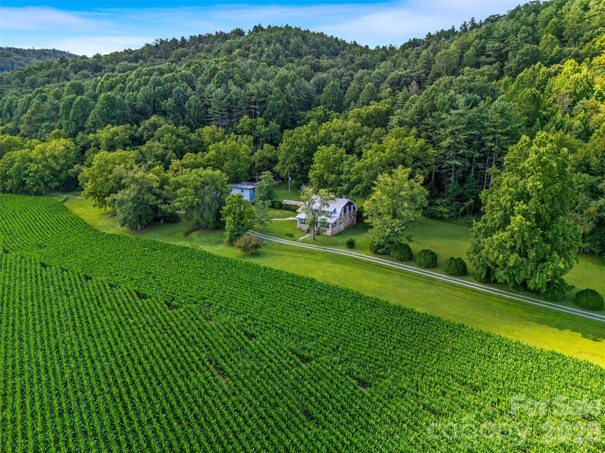 Acreage at 96 Merle Farm Lane, Pisgah Forest, photo 31 of 48