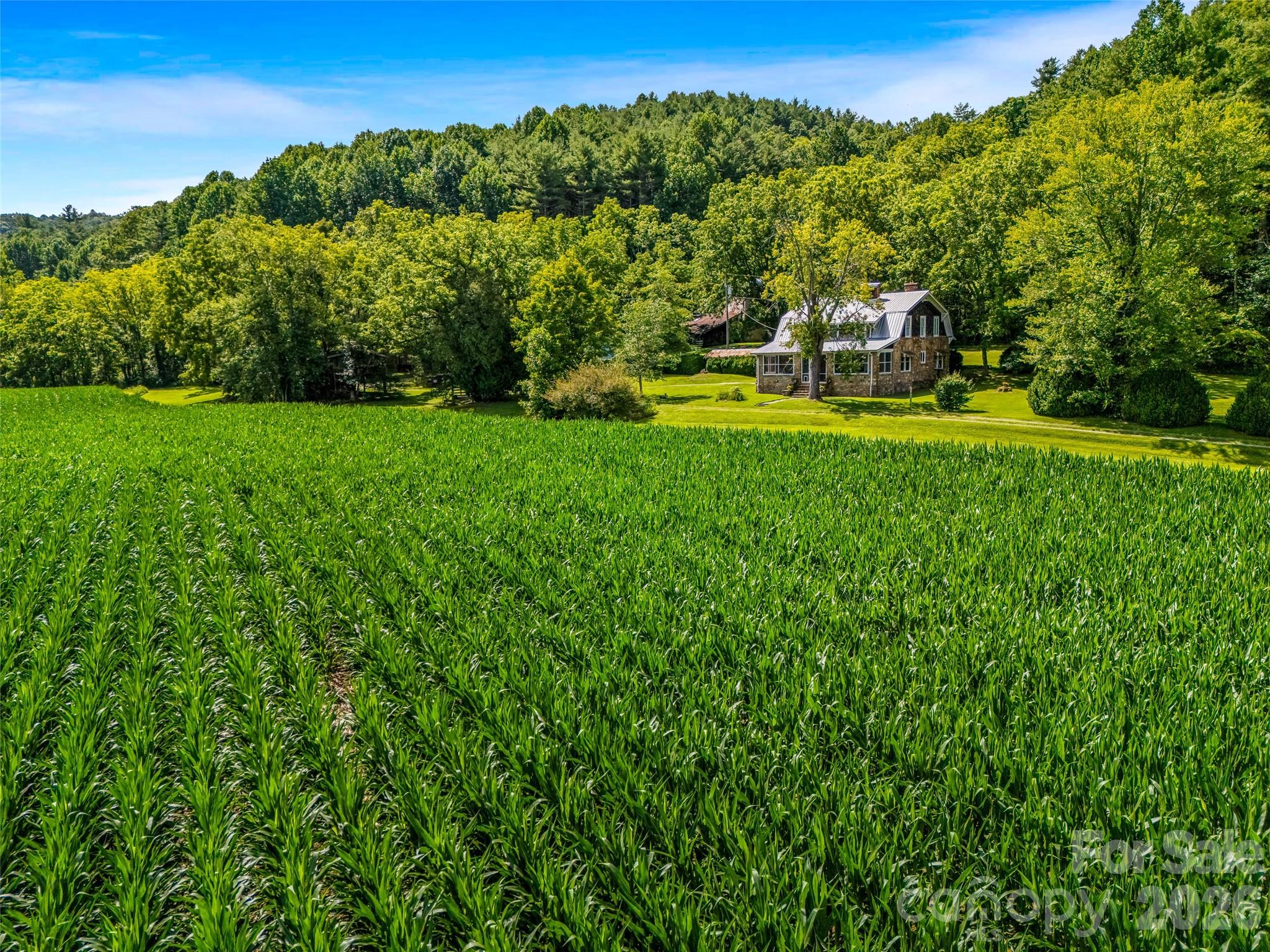 Acreage at 96 Merle Farm Lane, Pisgah Forest, photo 12 of 48