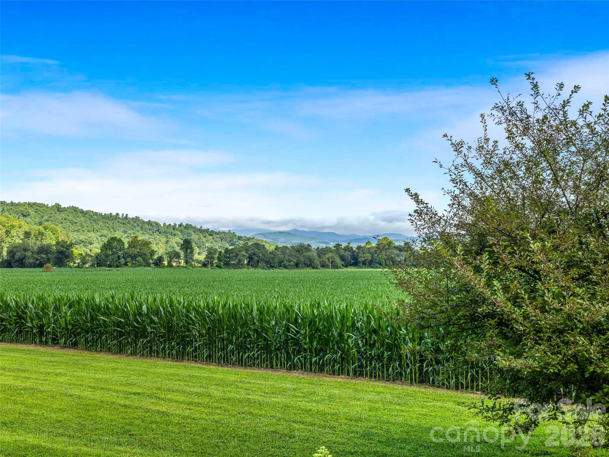 Acreage at 96 Merle Farm Lane, Pisgah Forest, photo 33 of 48