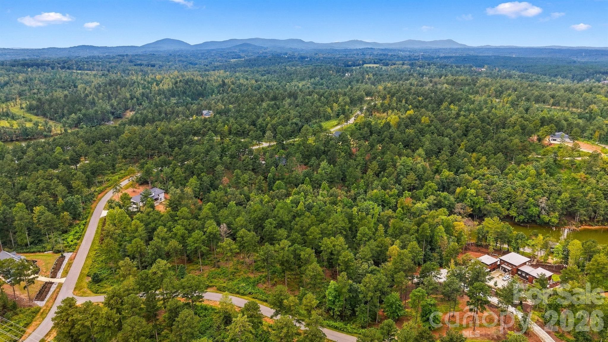 Lot at 2071 Ellingwood Point, Connelly Springs, photo 19 of 46