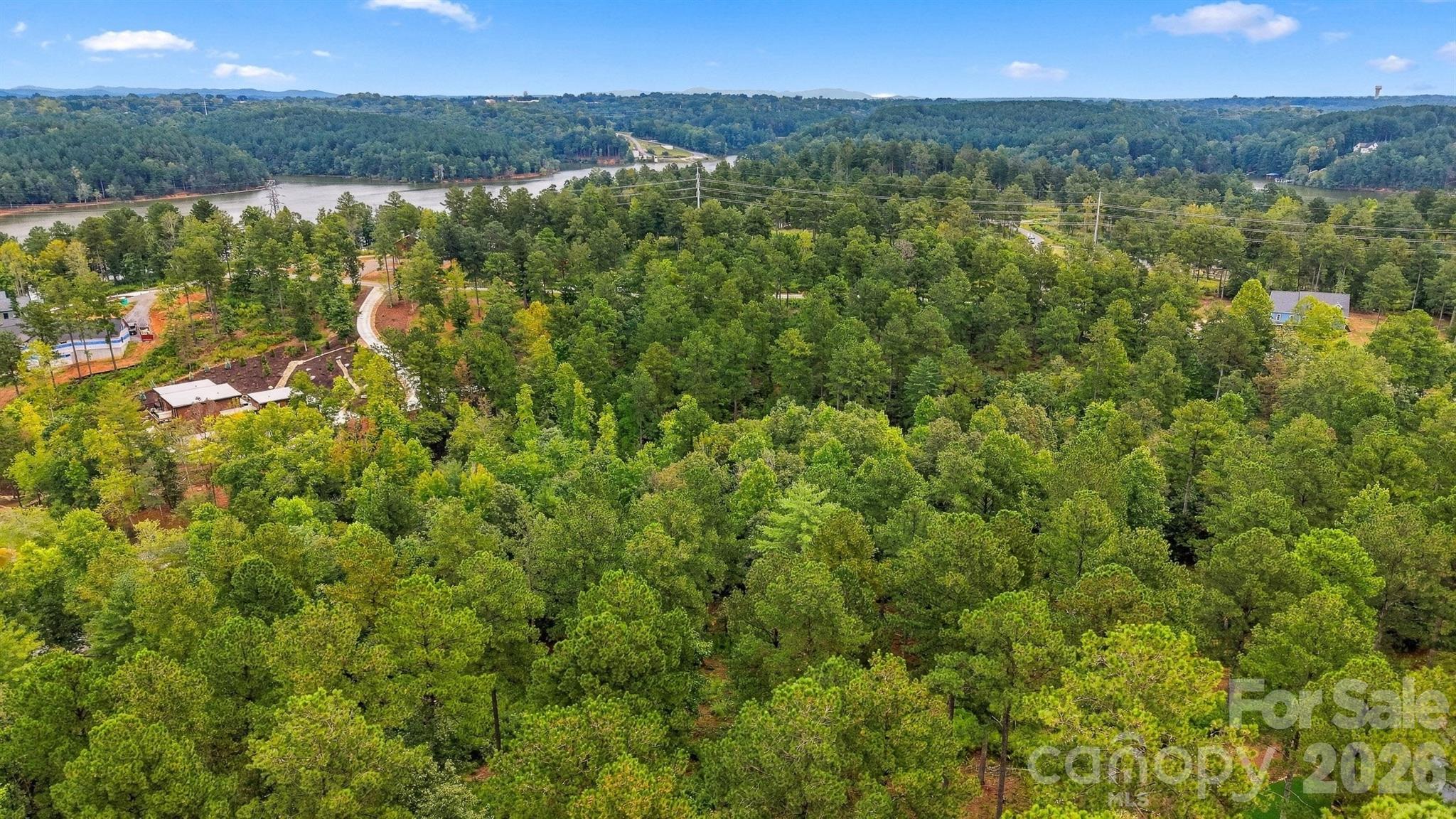 Lot at 2071 Ellingwood Point, Connelly Springs, photo 26 of 46