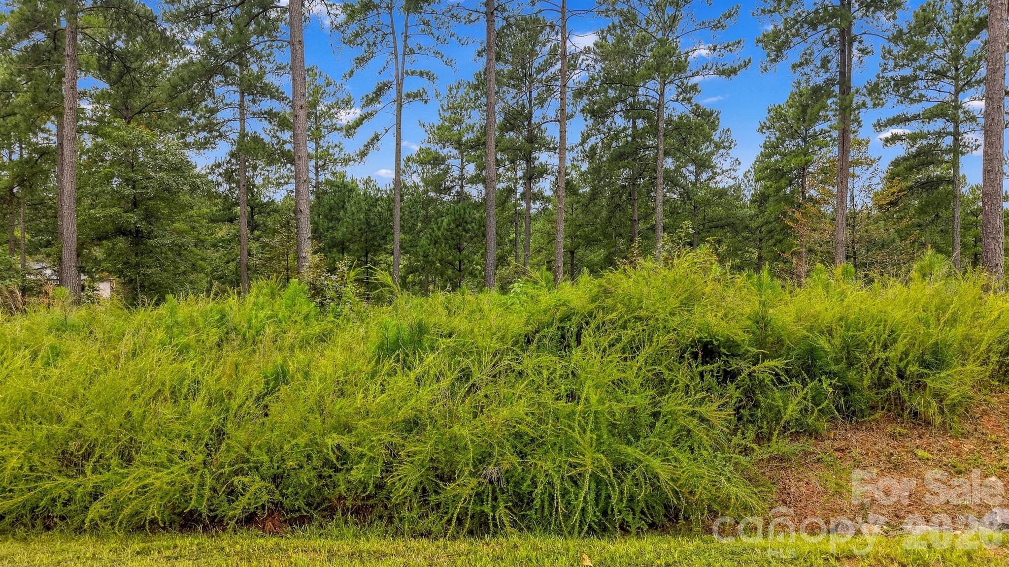 Lot at 2071 Ellingwood Point, Connelly Springs, photo 30 of 46