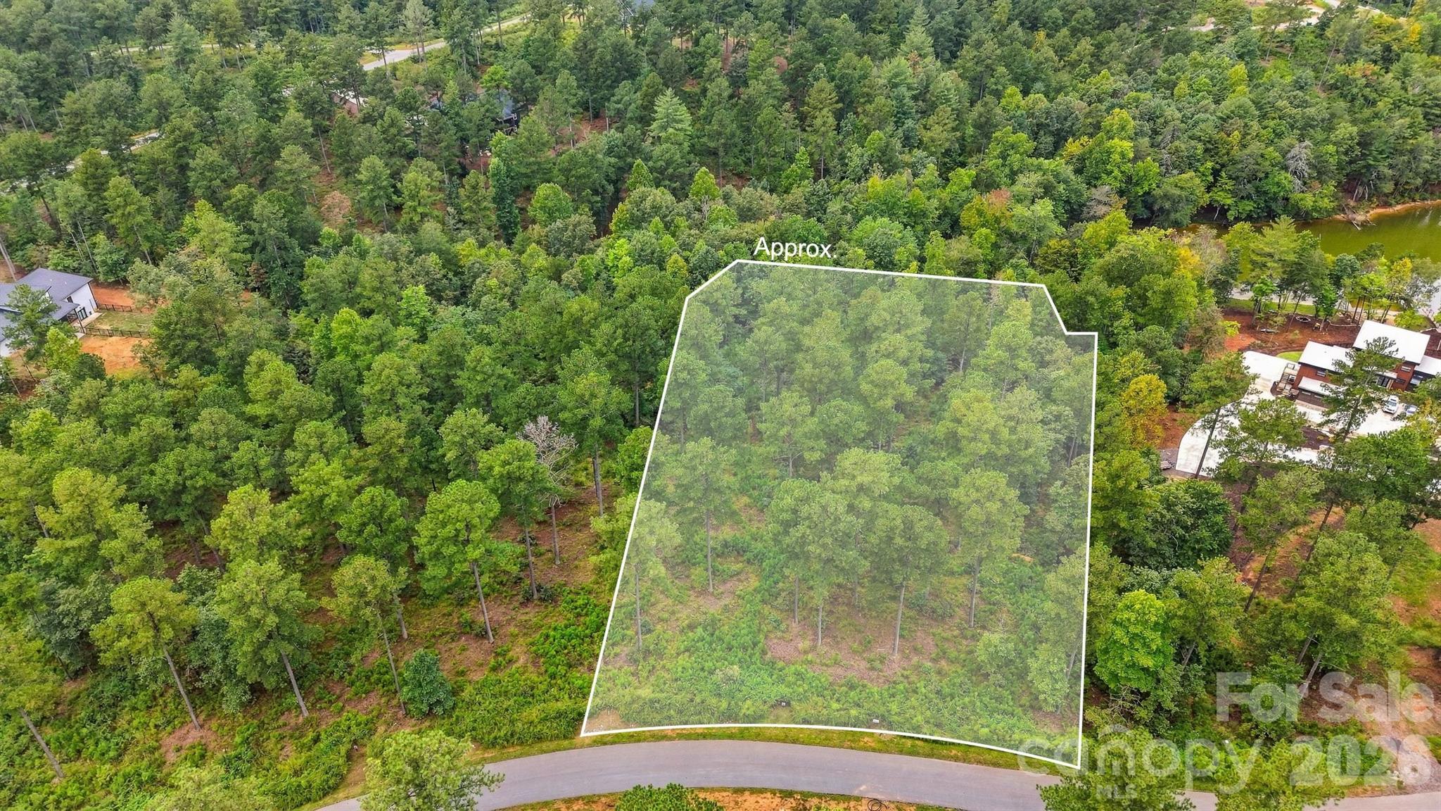 Lot at 2071 Ellingwood Point, Connelly Springs, photo 31 of 46