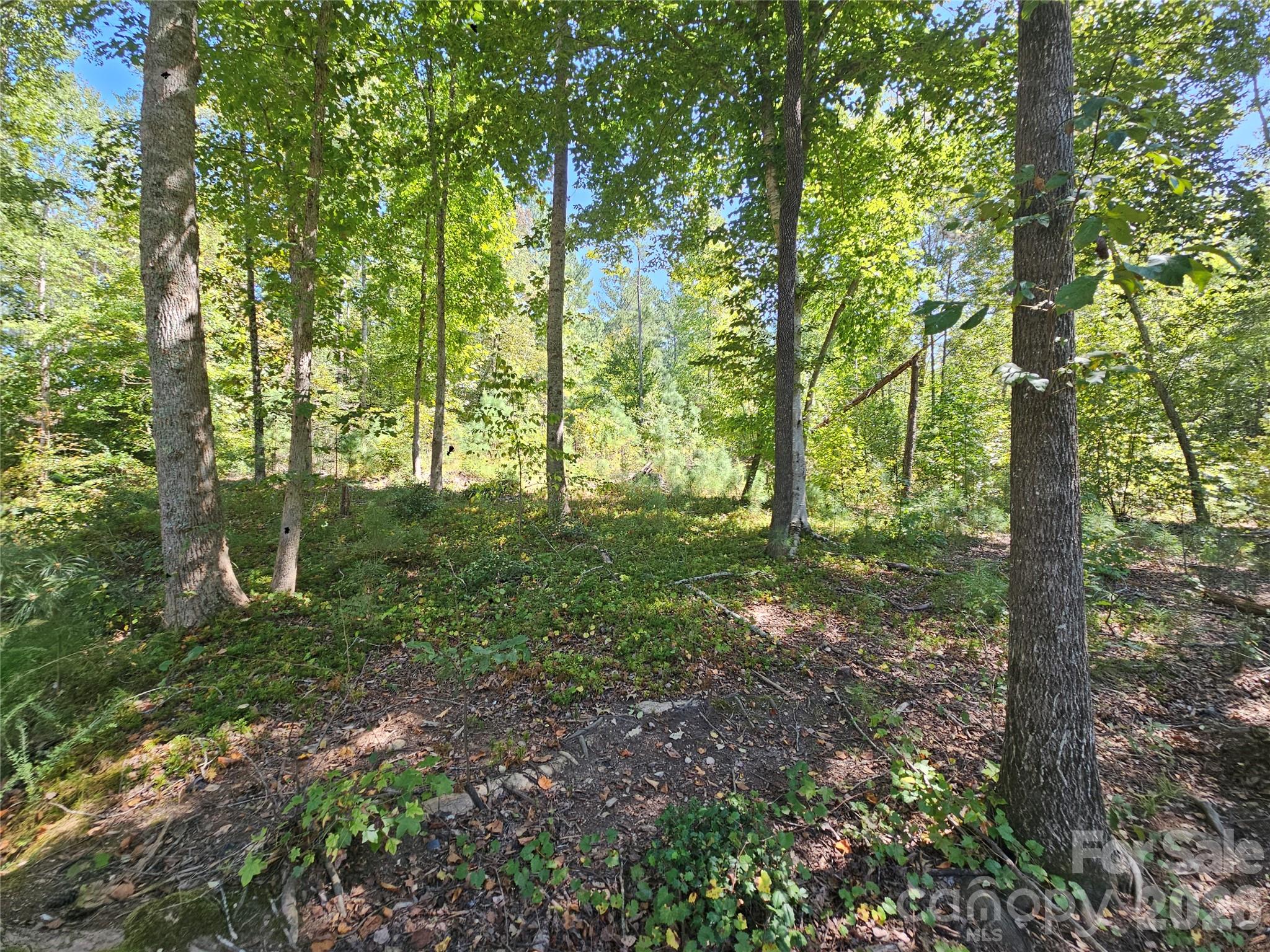 Lot at 2071 Ellingwood Point, Connelly Springs, photo 43 of 46