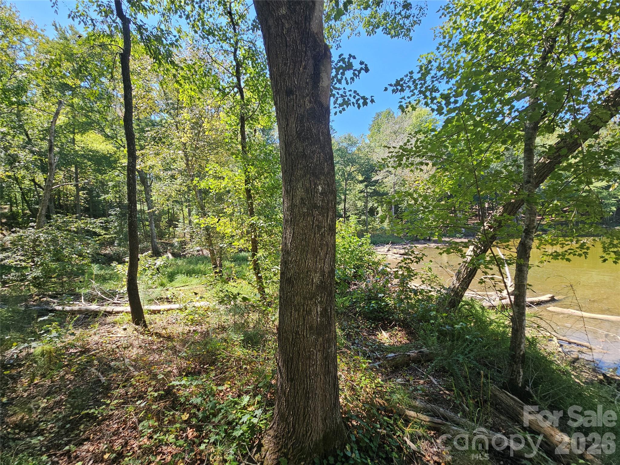 Lot at 2071 Ellingwood Point, Connelly Springs, photo 44 of 46