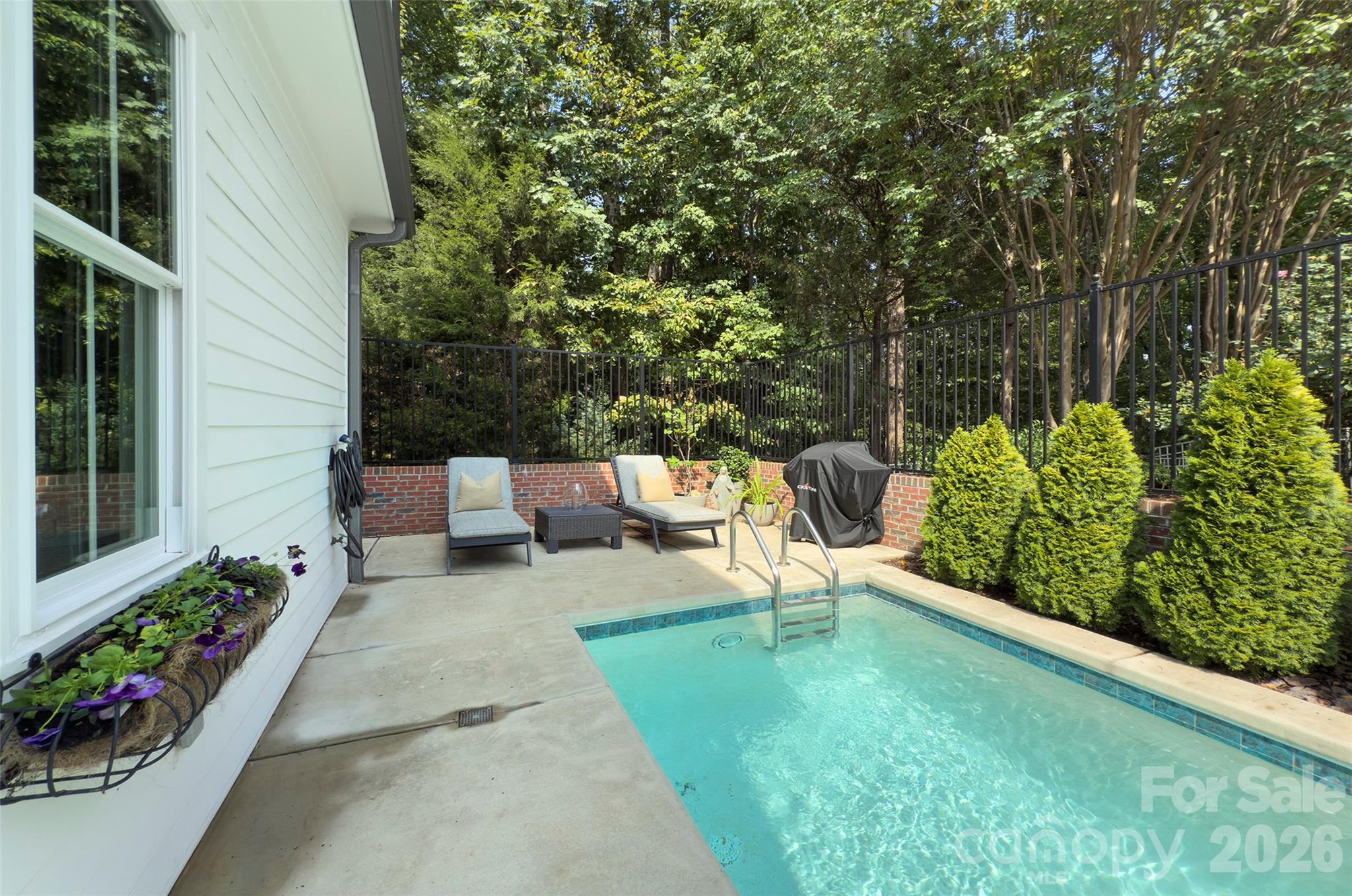 Saltwater punge pool - 2561 Lower Assembly Drive, Fort Mill