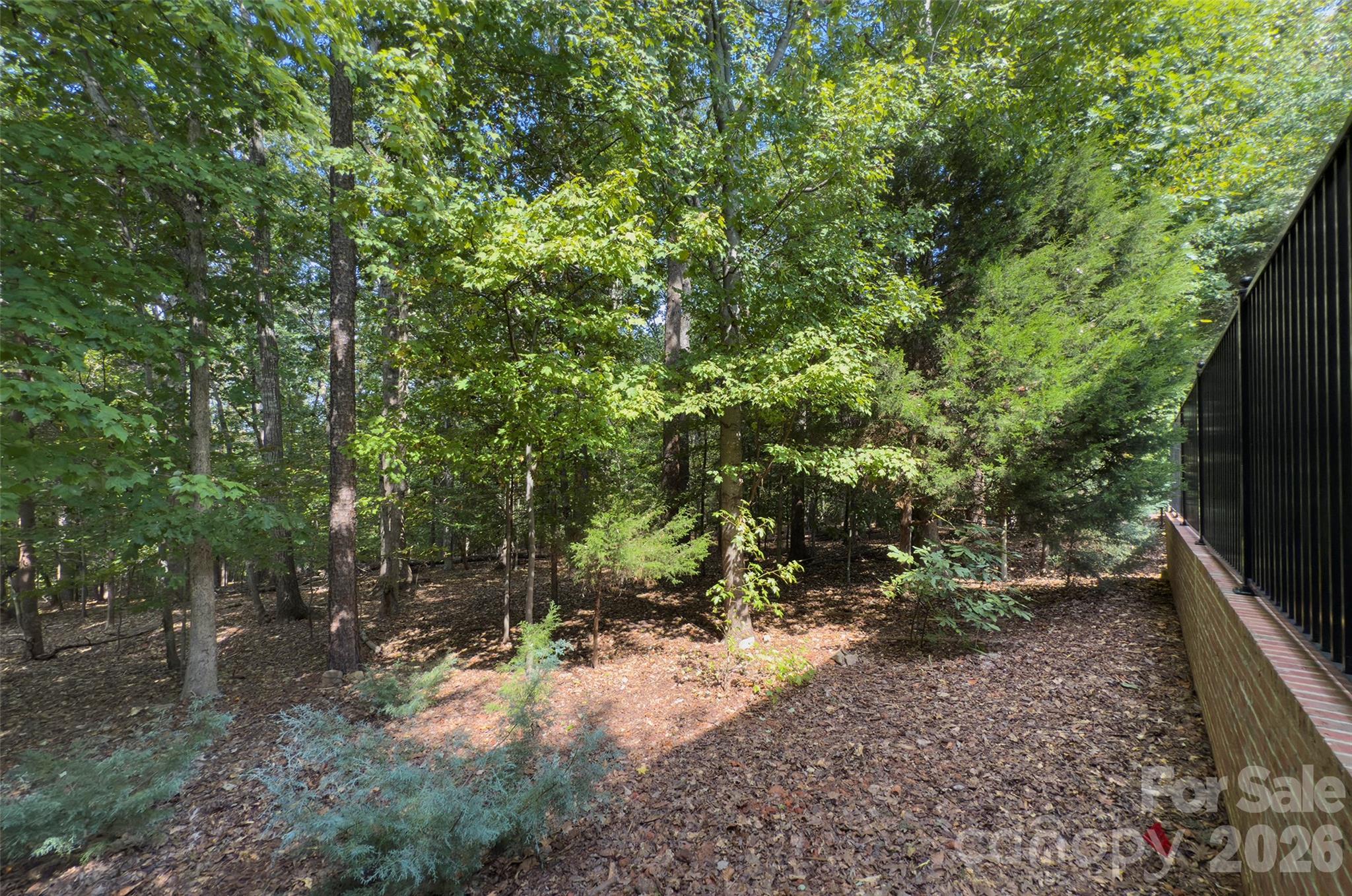 No backyard neighbor - 2561 Lower Assembly Drive, Fort Mill