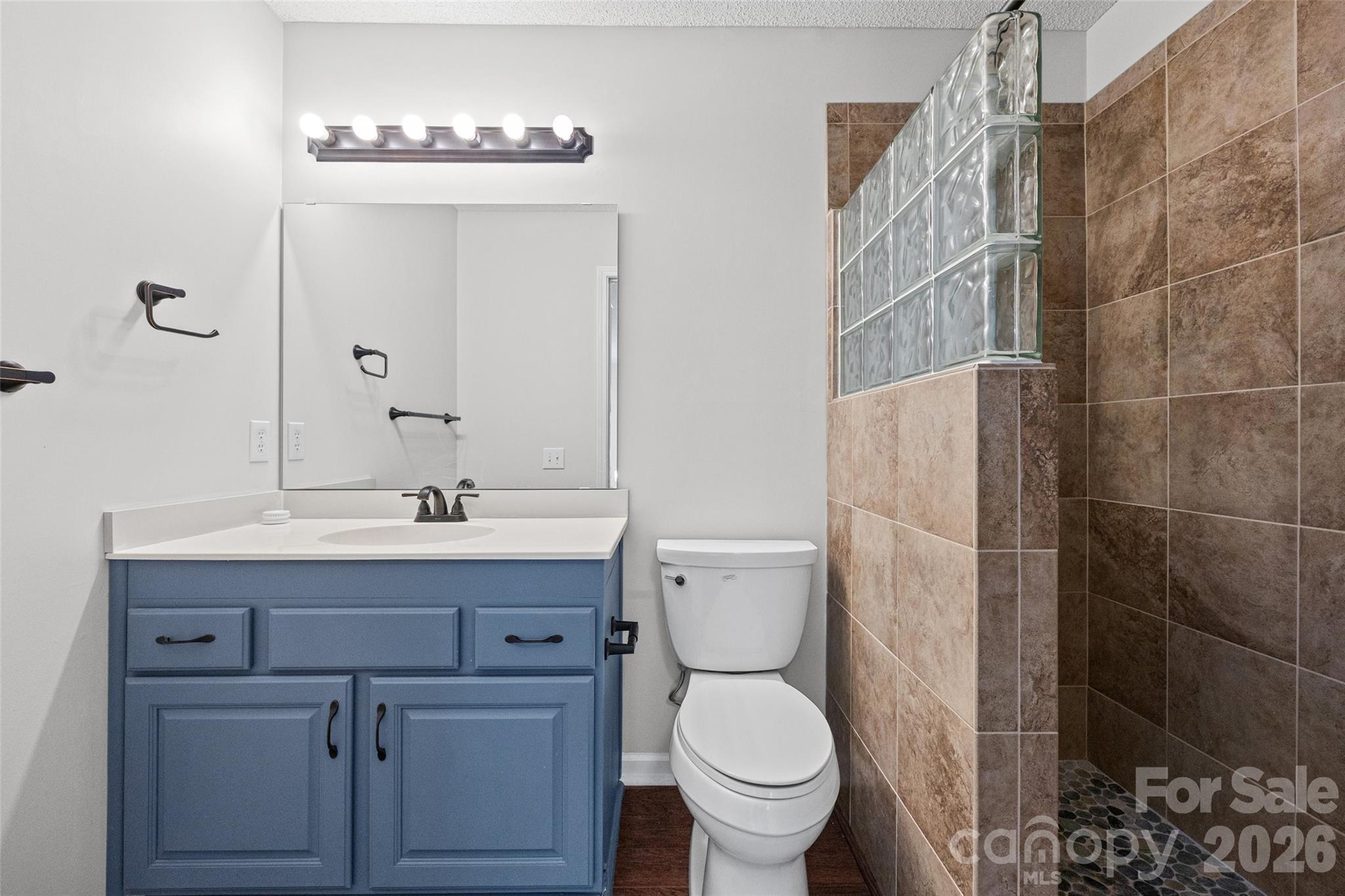 Upstairs bath - 105 Lyman Oak Court, Fort Mill