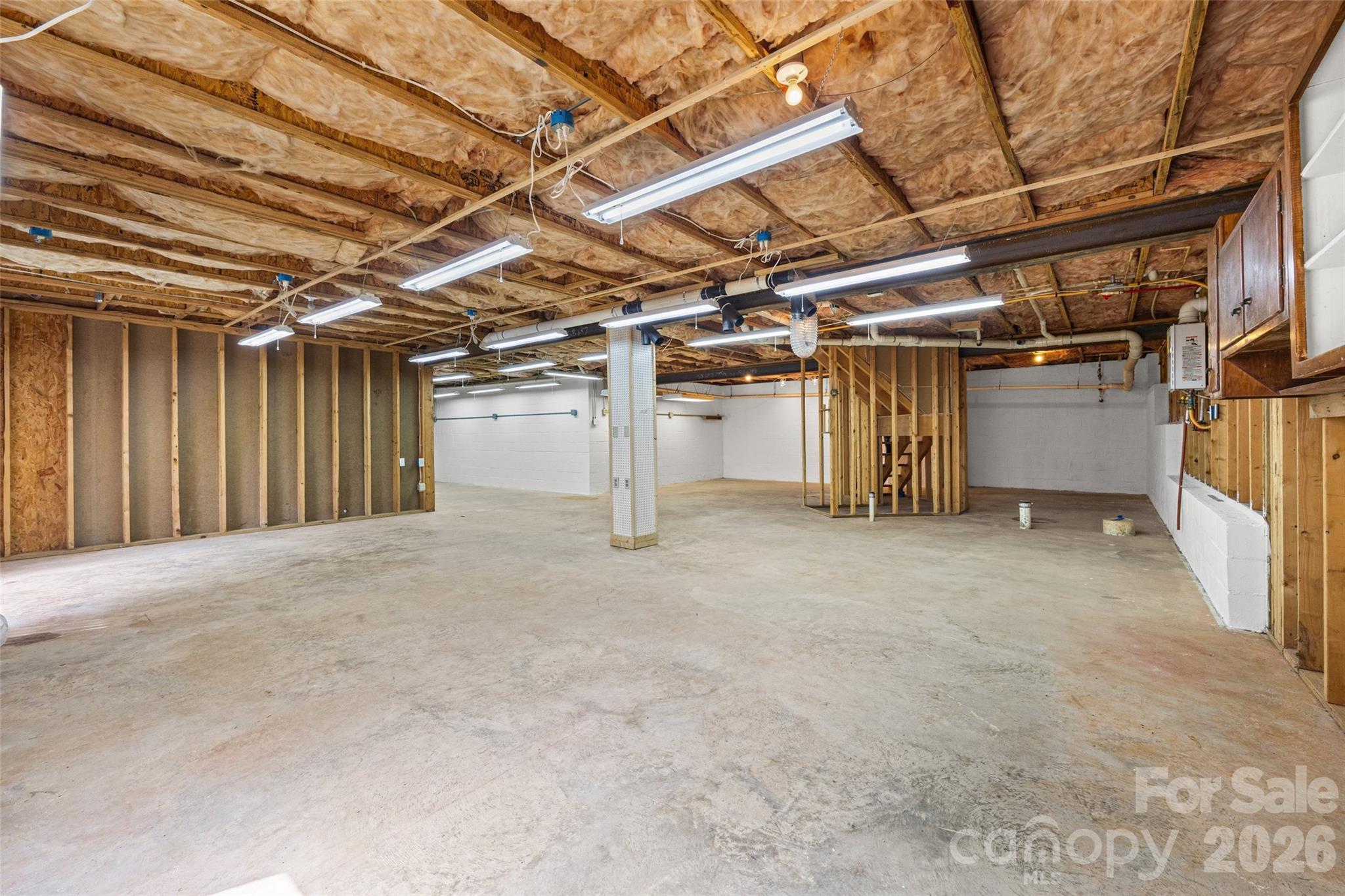 Basement - 105 Lyman Oak Court, Fort Mill