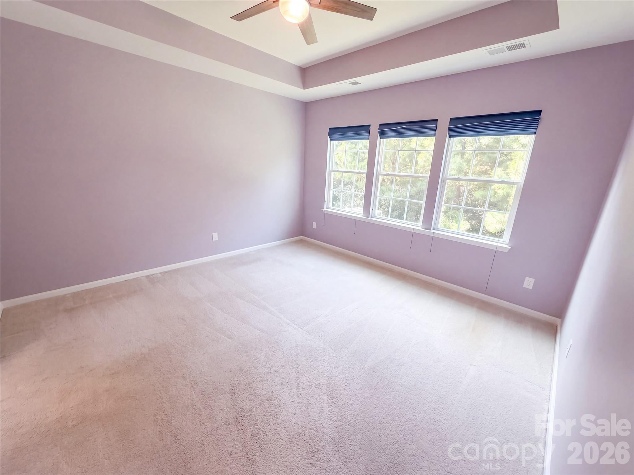 Single Family Residence at 2019 Trindle Vine Lane, Waxhaw, photo 11 of 25