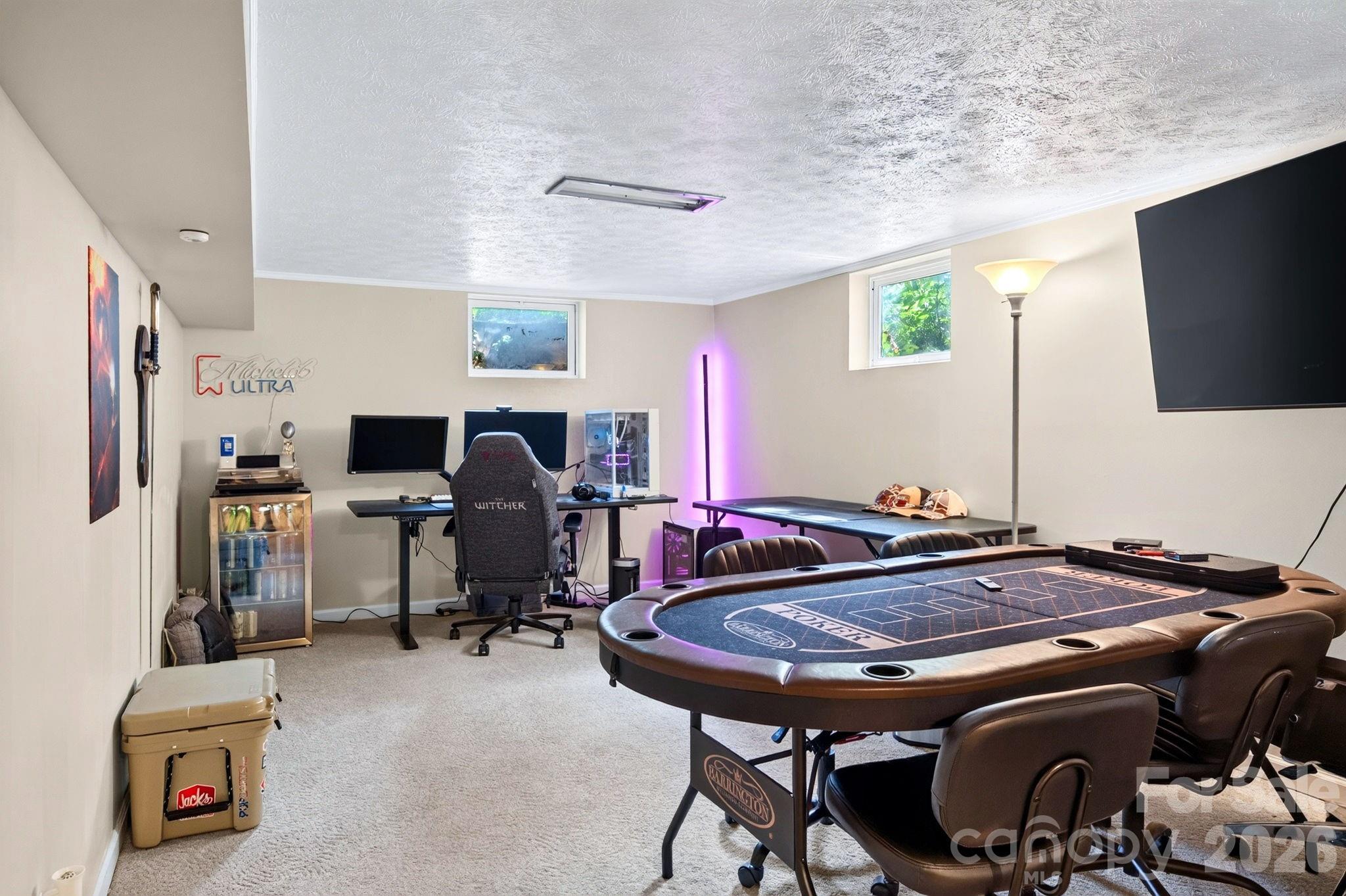 Finished lower-level bonus room ideal for hobbies, home office or workout space - 109 Wilshire Drive, Asheville
