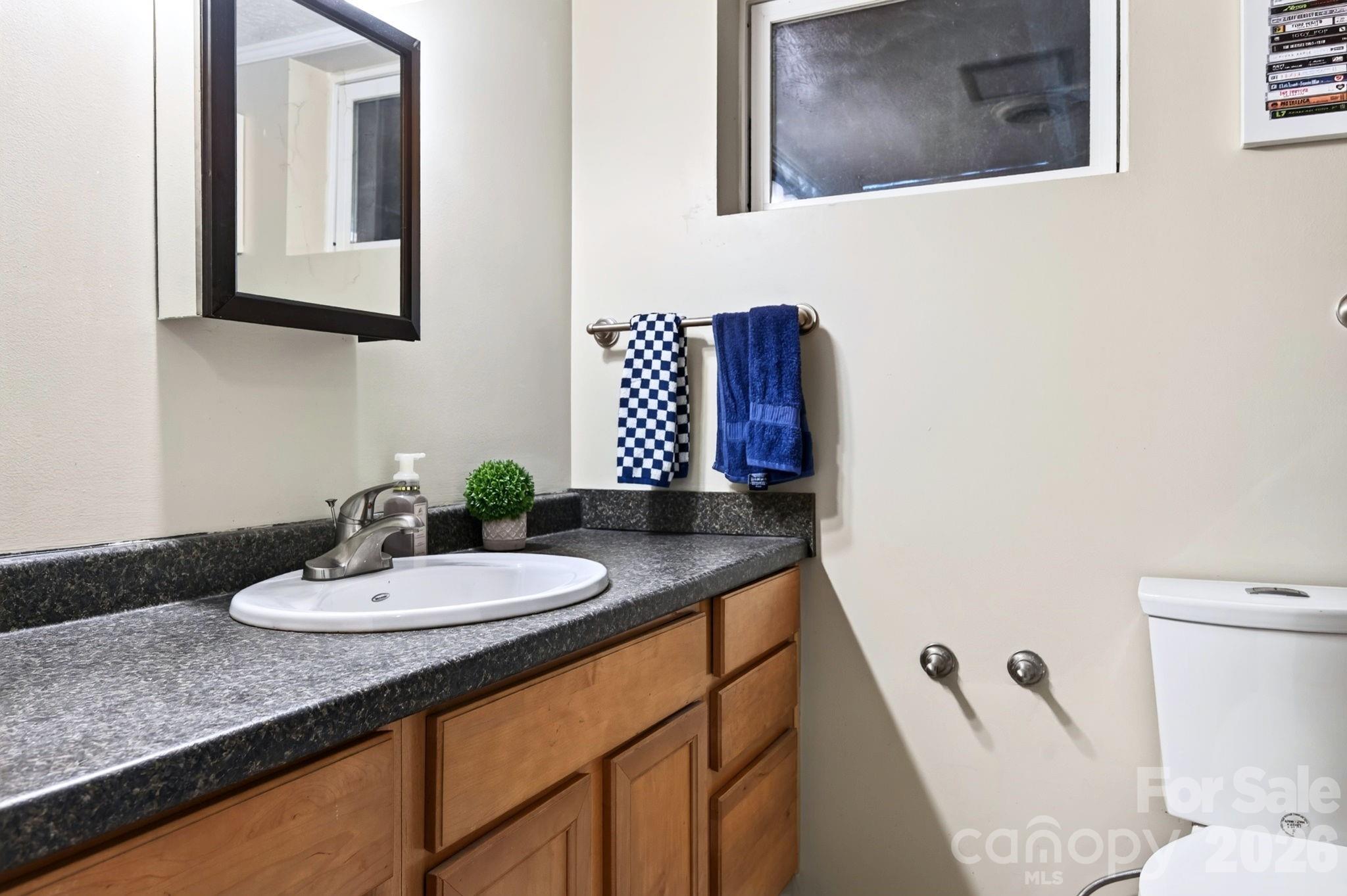 Second full bathroom on the lower level - 109 Wilshire Drive, Asheville