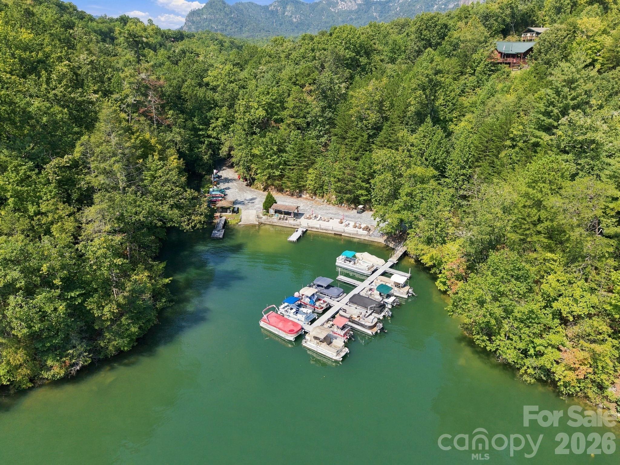 Community beach and marina - 132 Falls View Trail, Lake Lure