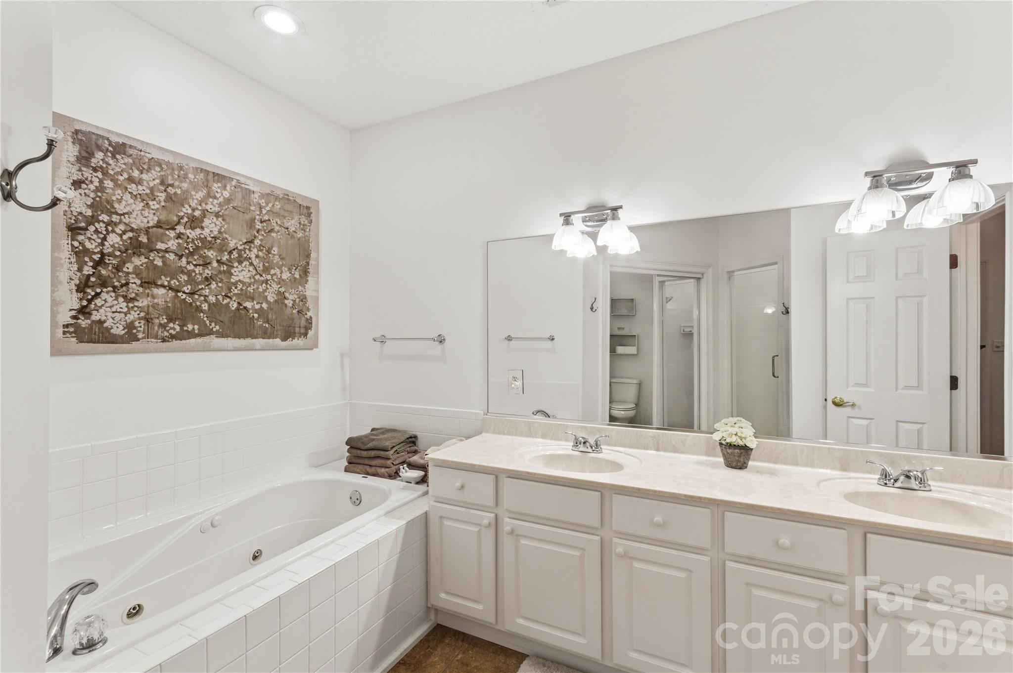 Primary Bathroom - 165 Ewbank Garden Drive, Hendersonville