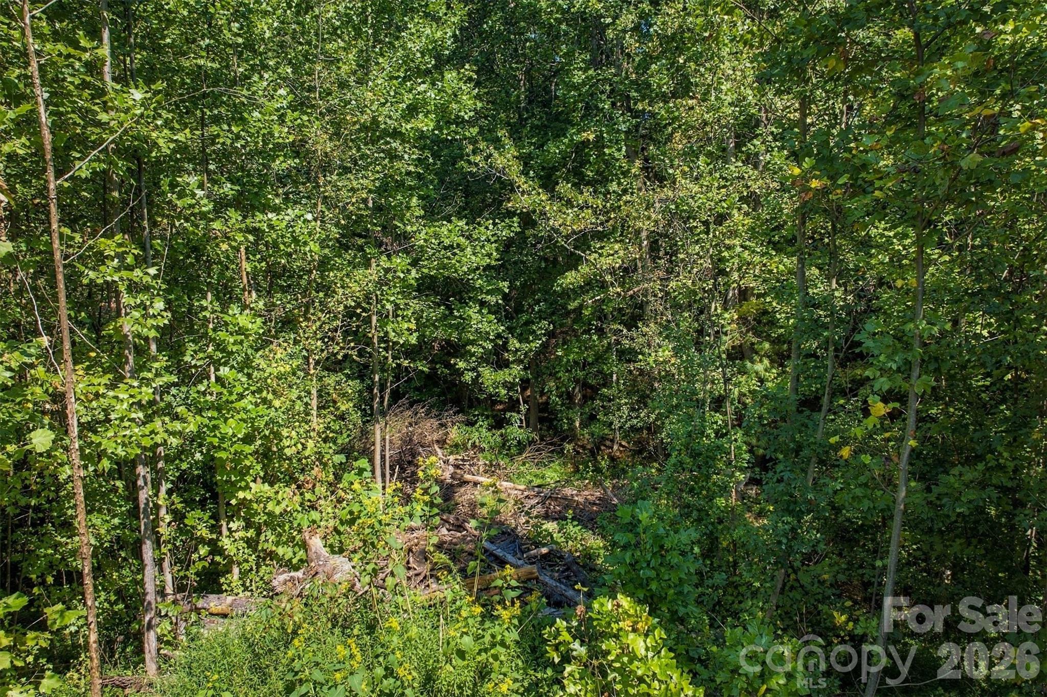 Acreage at 2014 Dogwood Vista, Lenoir, photo 6 of 12