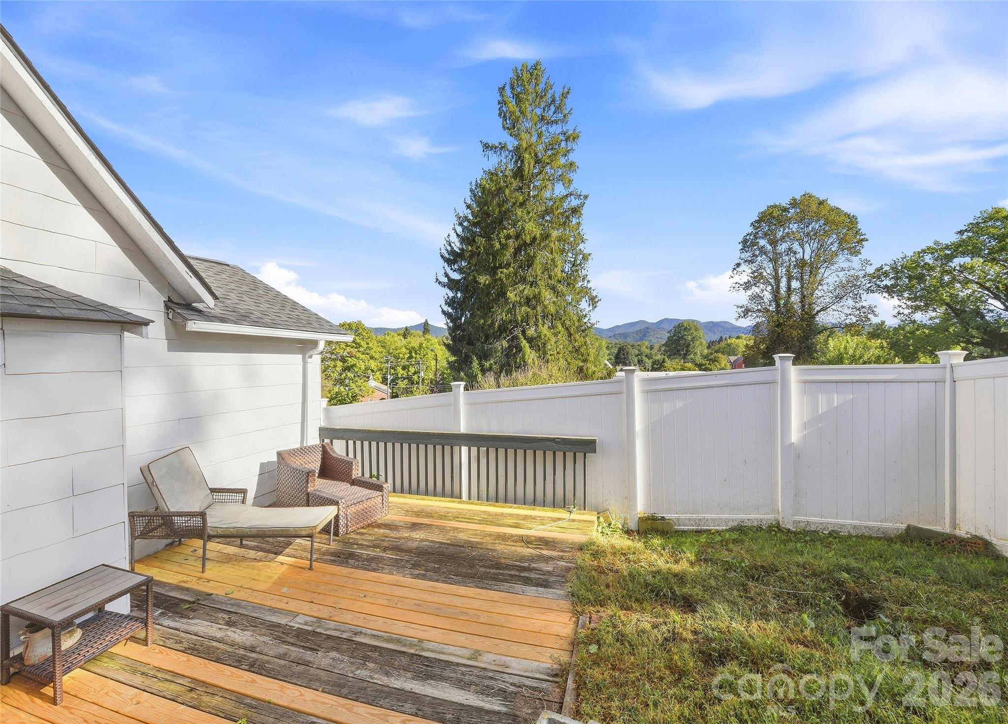 Mountain views and plenty of outdoor living space for entertaining, pets, gardening etc. - 159 Ballew Street, Canton