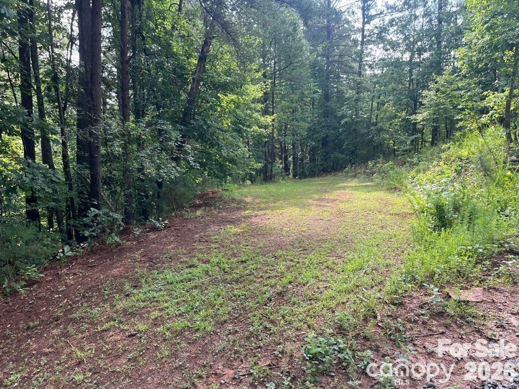 Special Purpose at 560 Hester Mill Road, Rutherfordton, photo 3 of 16