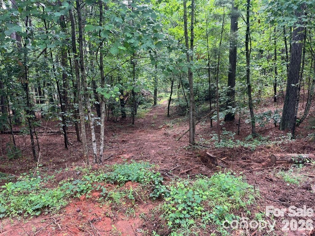 Special Purpose at 560 Hester Mill Road, Rutherfordton, photo 5 of 16