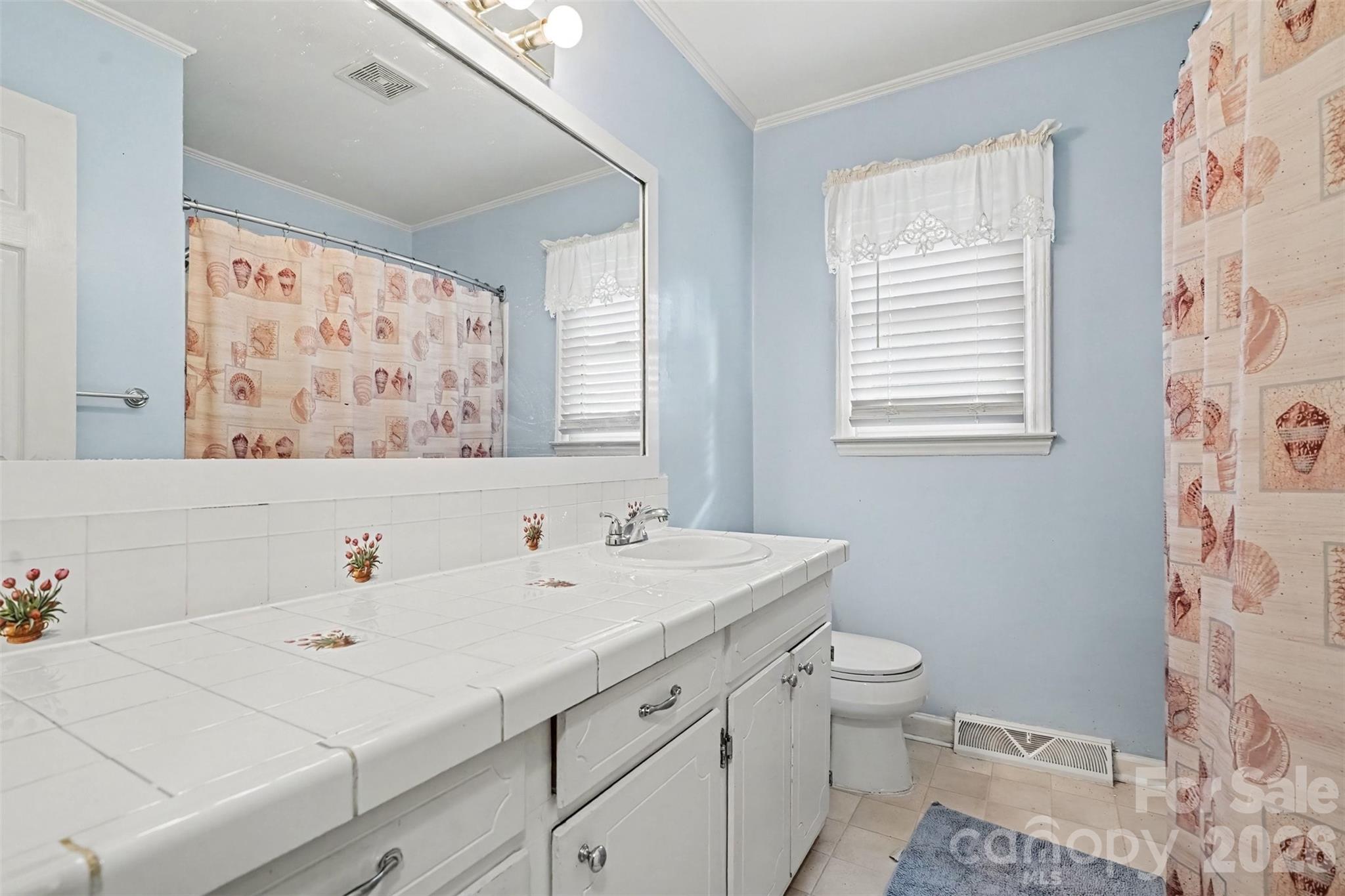 main bathroom - 15229 Comanche Lane, Matthews