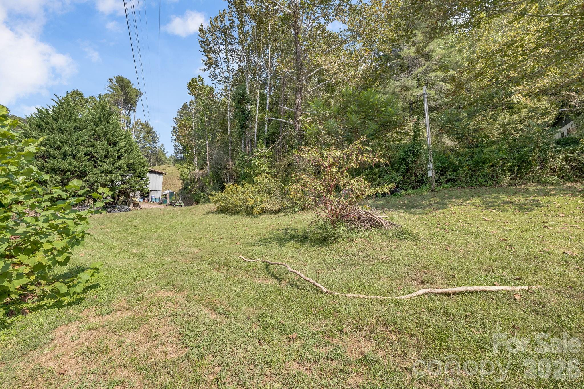 Back yard - 4078 NC 208 Highway, Marshall