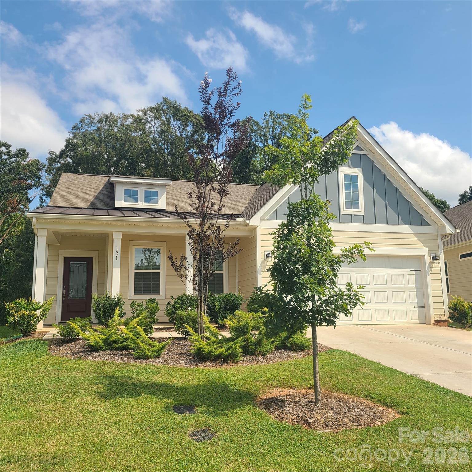 121 Olive Tea Lane