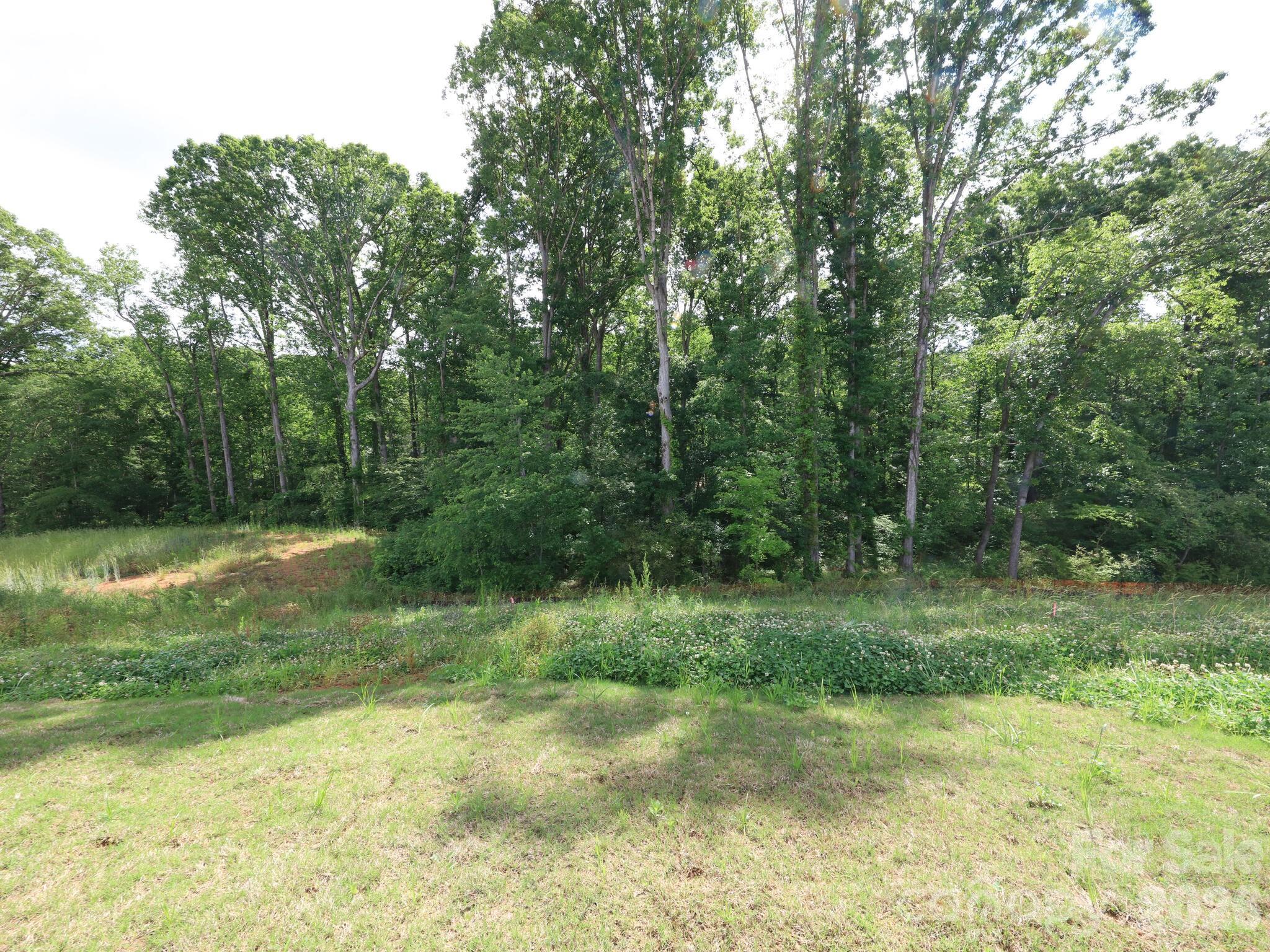 View from back patio - 121 Olive Tea Lane, Statesville