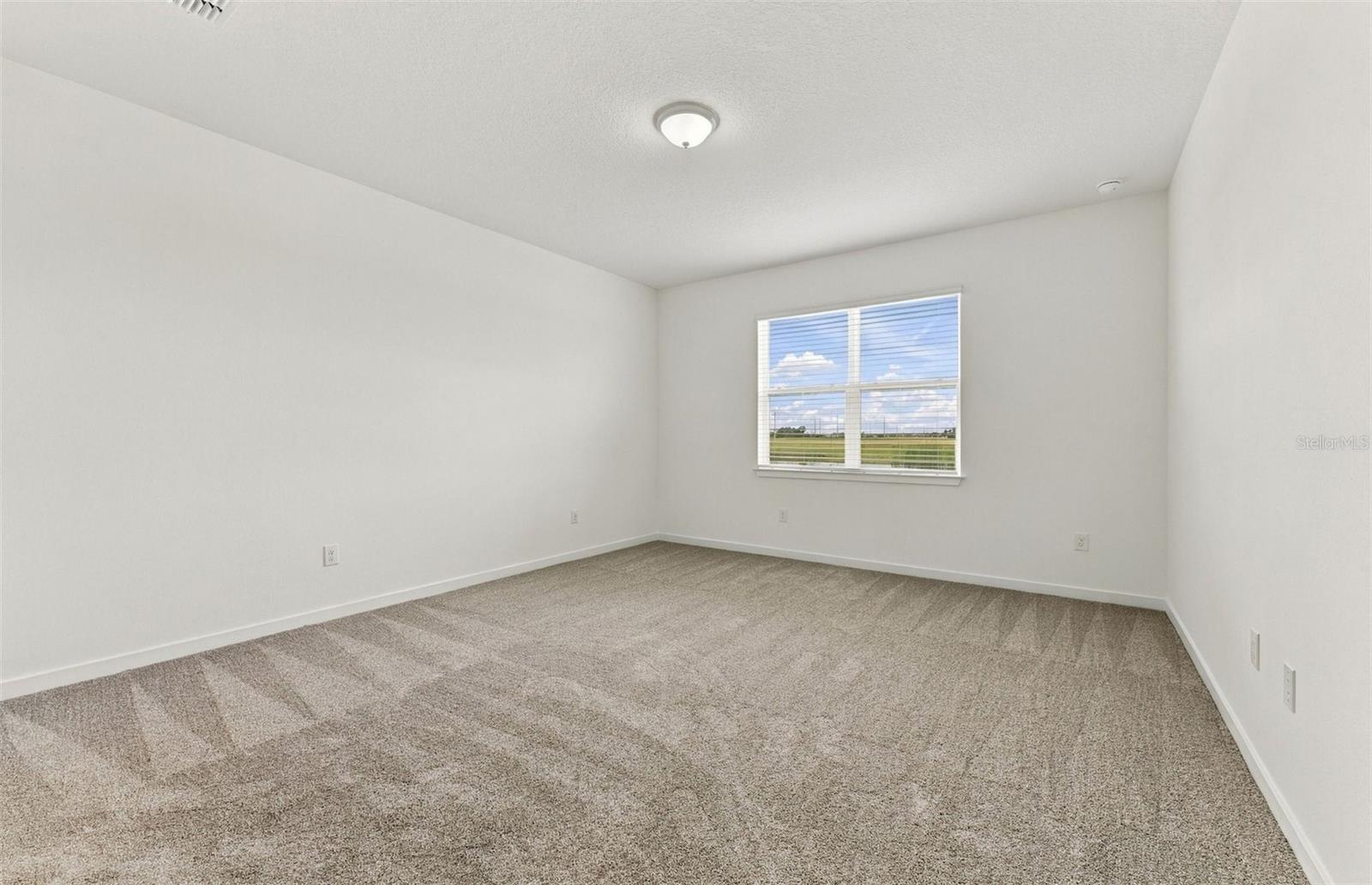 Owner's Suite - 10045 TRELLIS VINE WAY, PARRISH