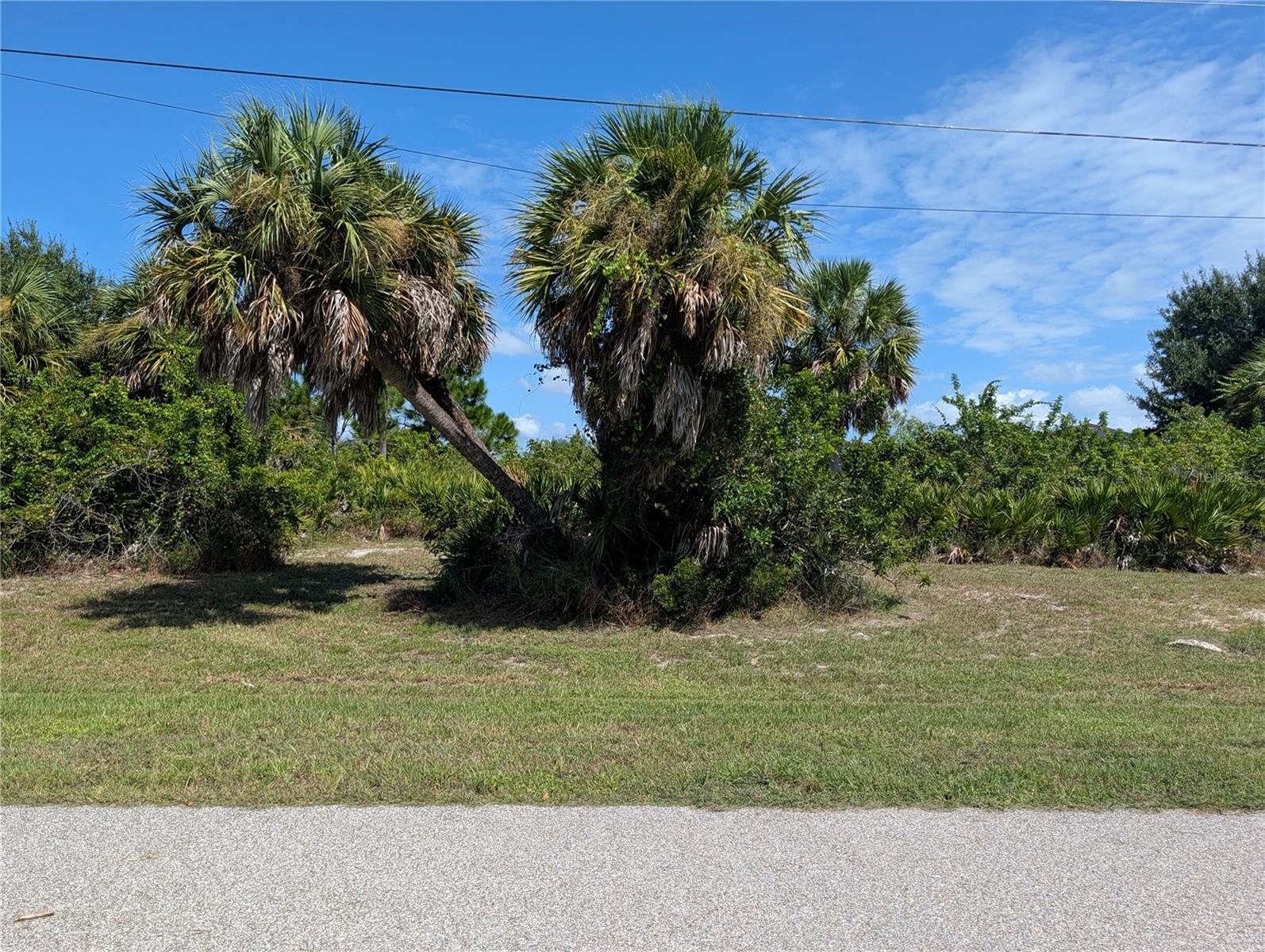 168 LIME TREE PARK