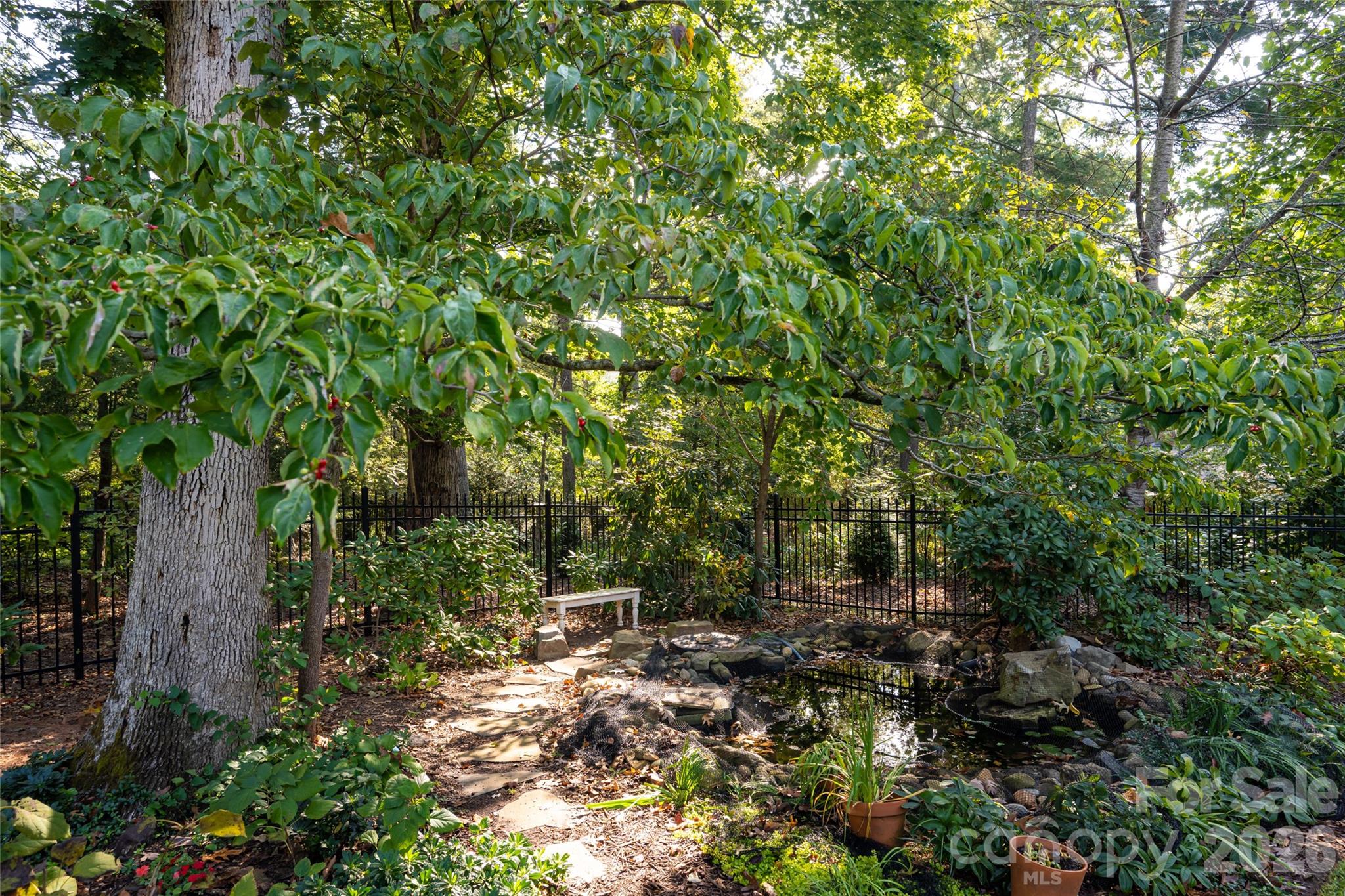 Pond - 6 Deerfield Road, Asheville
